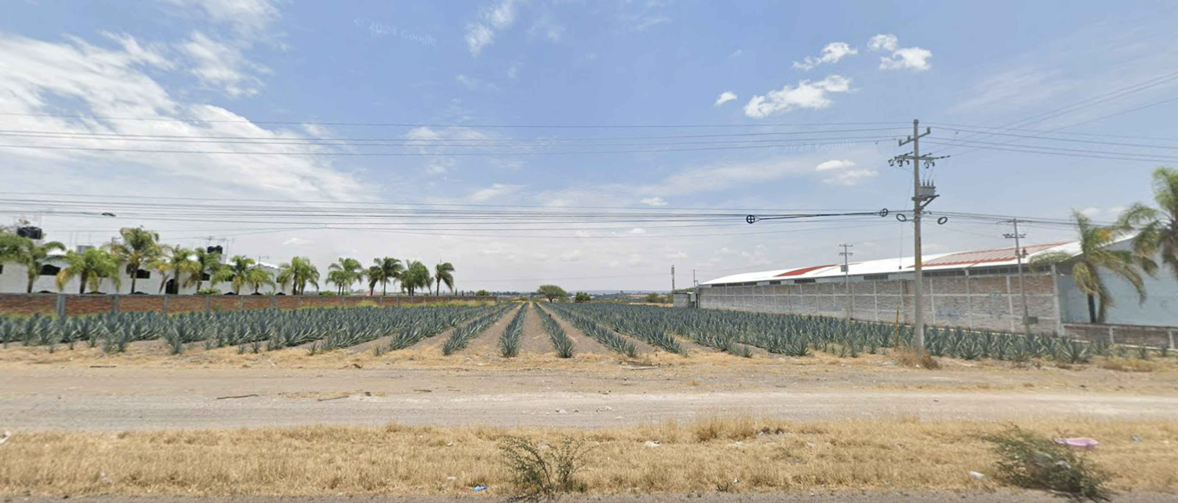 San Juan De Los Lagos - Tepatitlánméxico 80