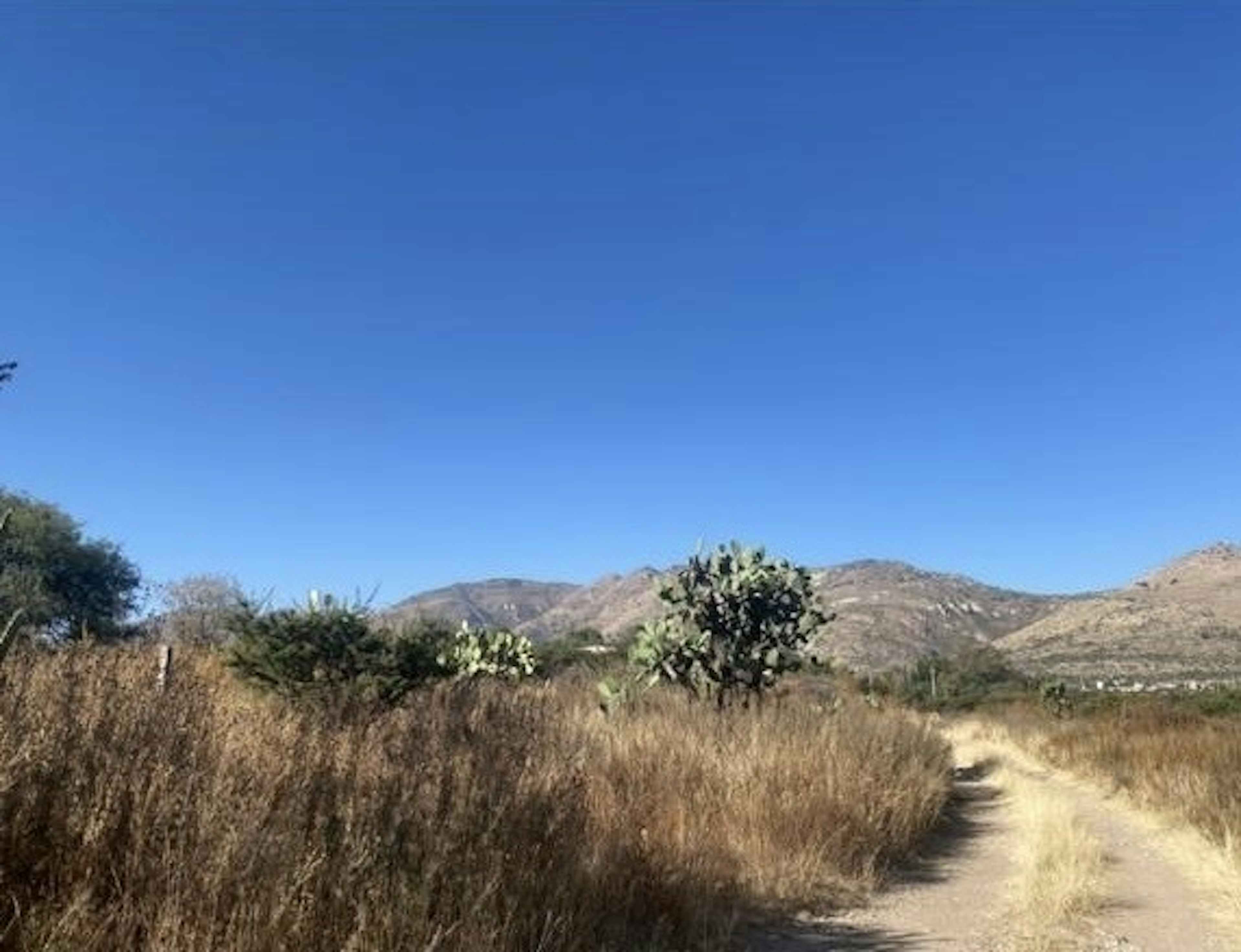 Paseo La Hacienda 209