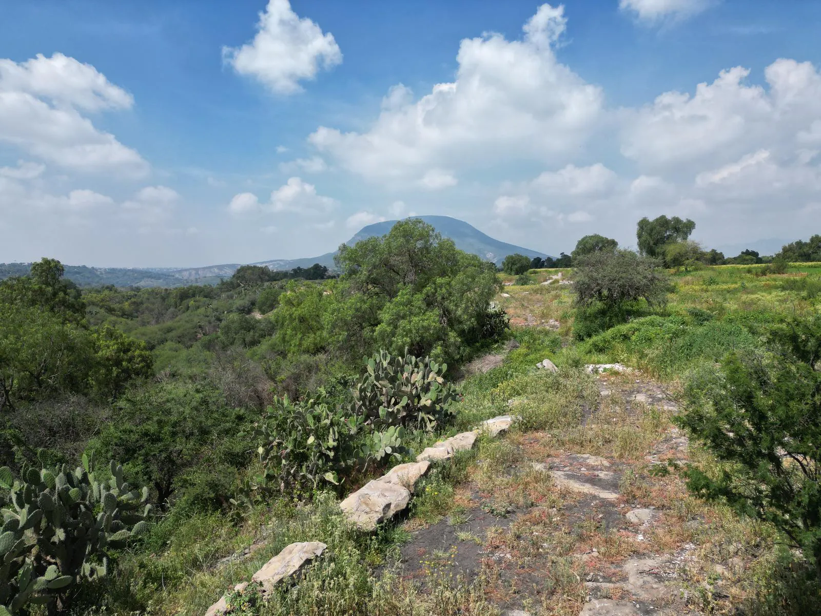 Terreno Spot2