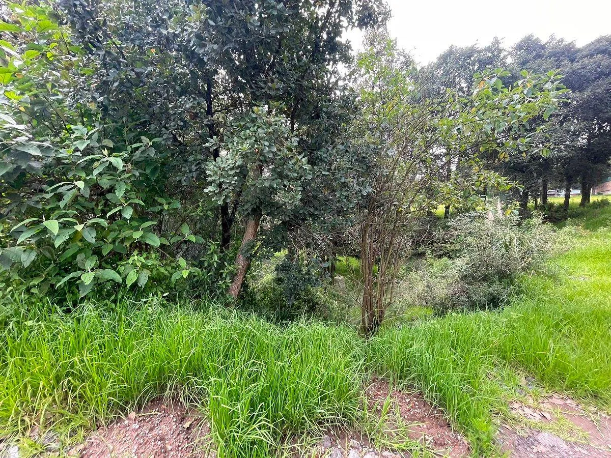 Terreno Spot2