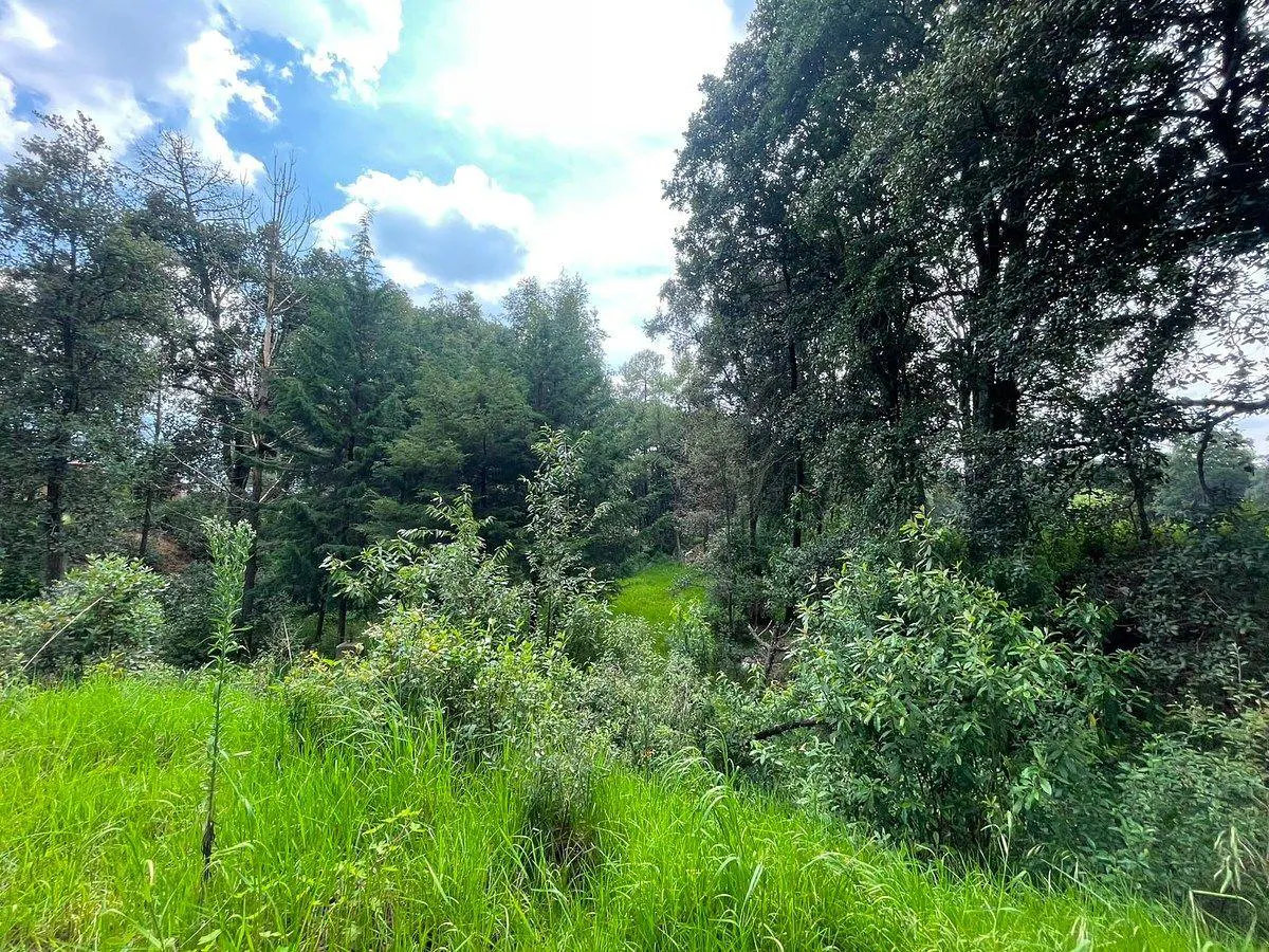 Terreno Spot2