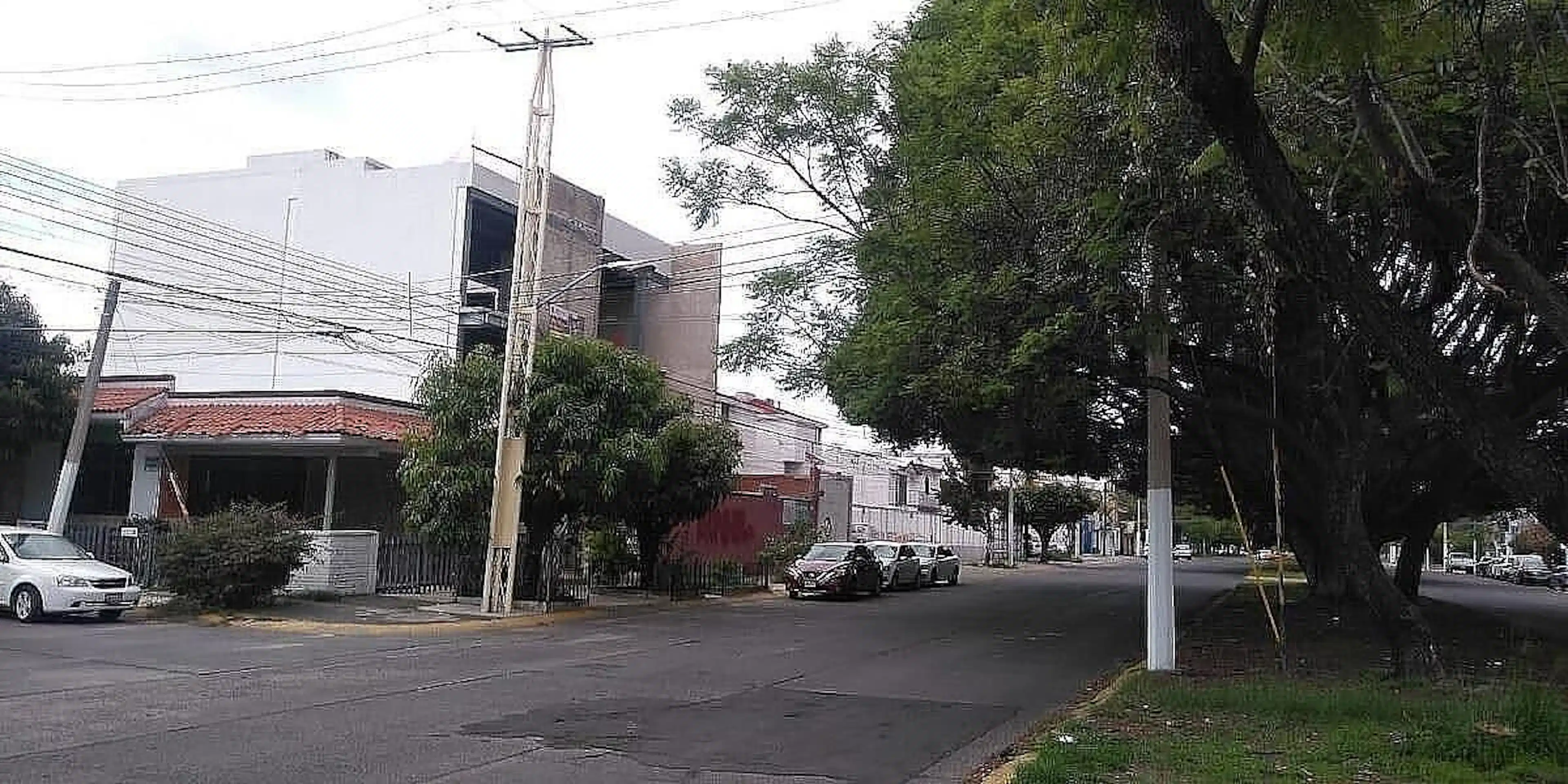 Calle Felipe Zetter
