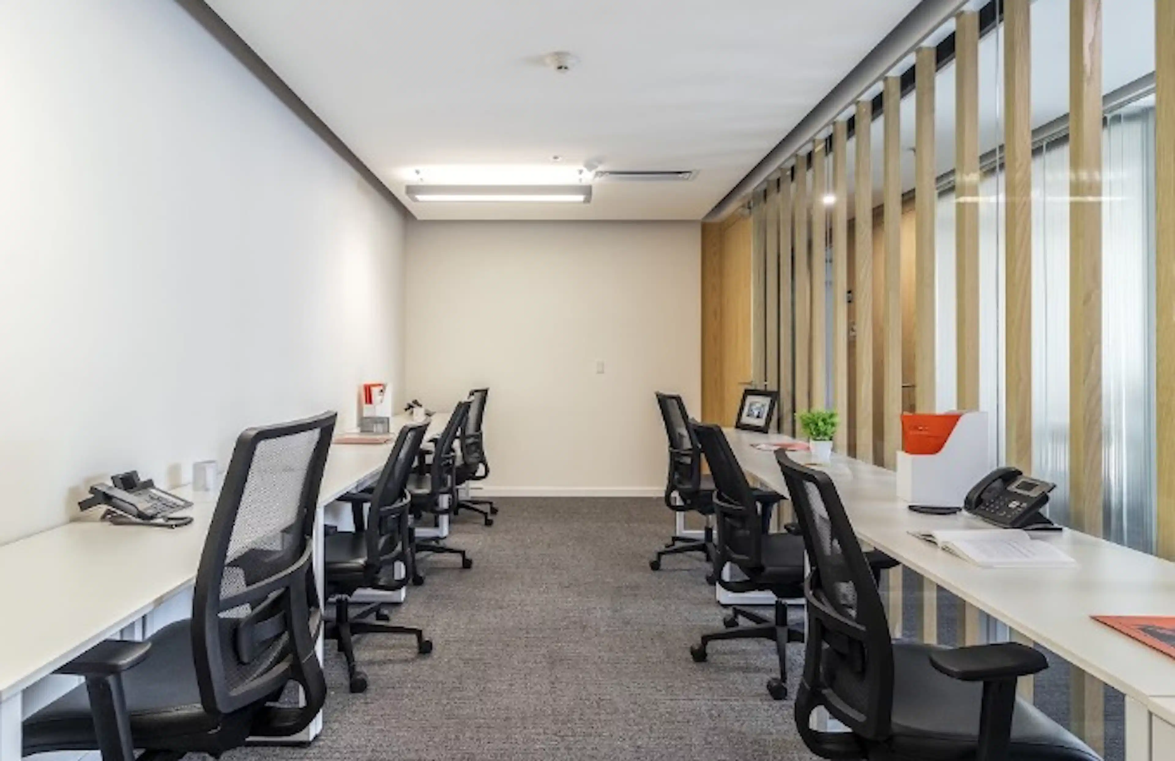 Polanco Oficina 49