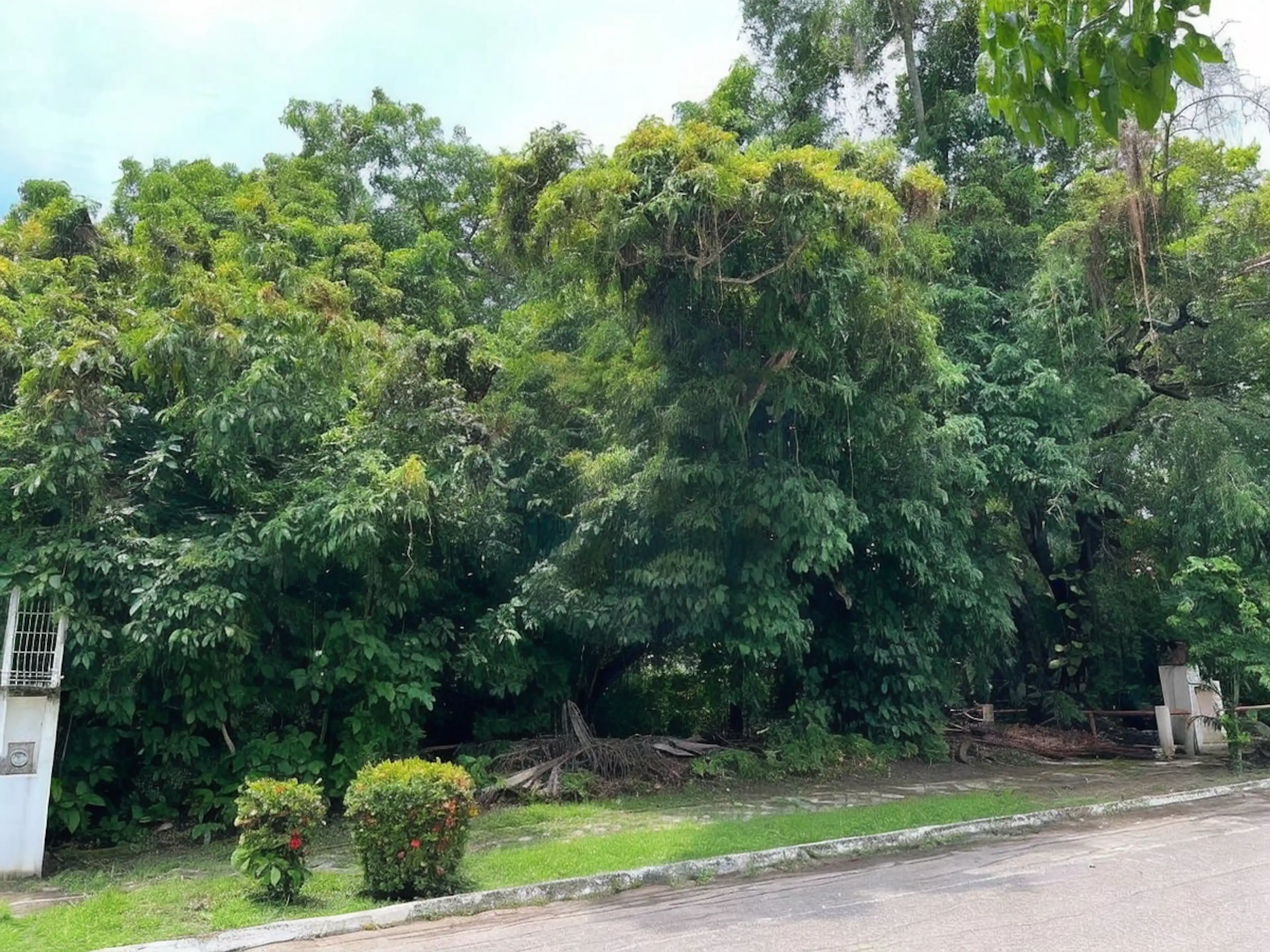 VENTA TERRENO EN BAHÍA DE BANDERAS, NAYARIT