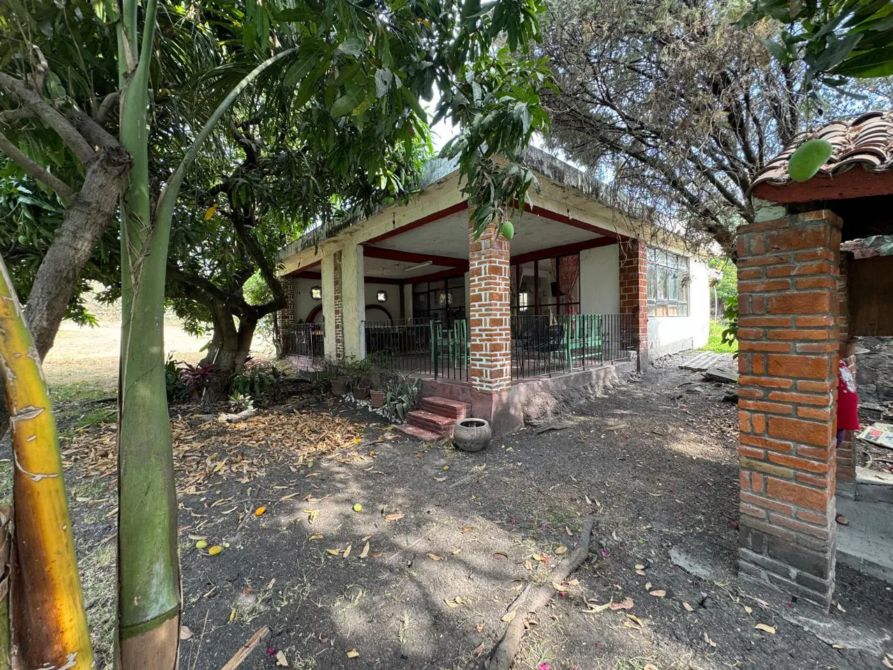 Terreno Spot2