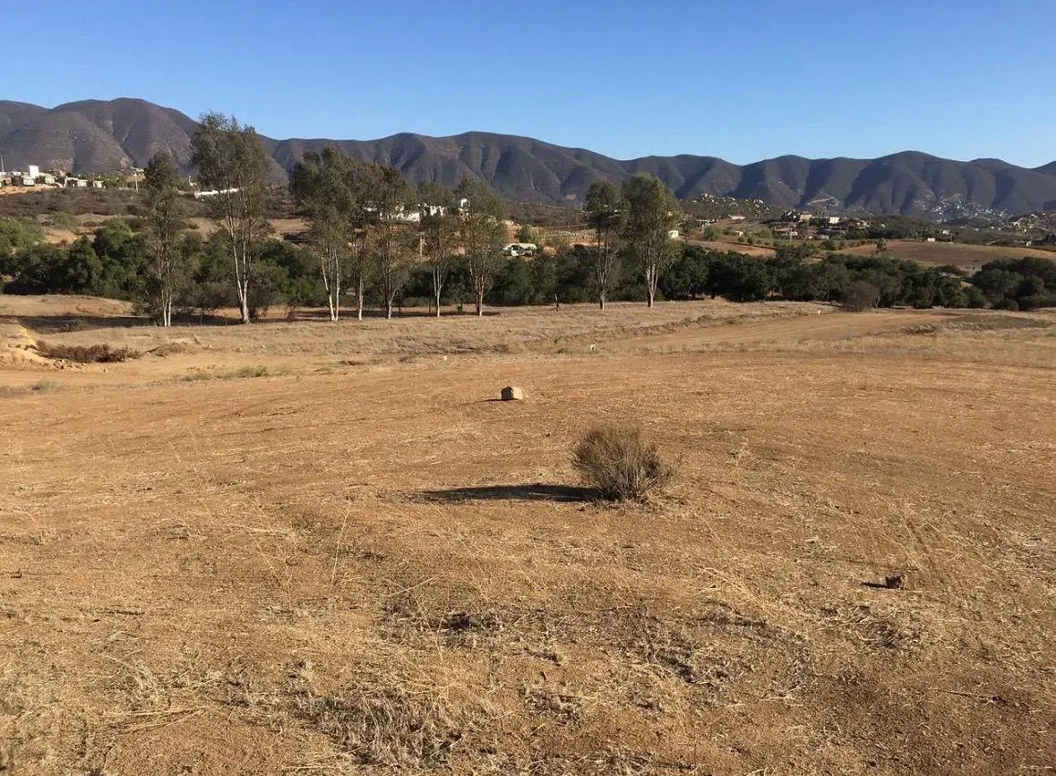 Terreno Spot2