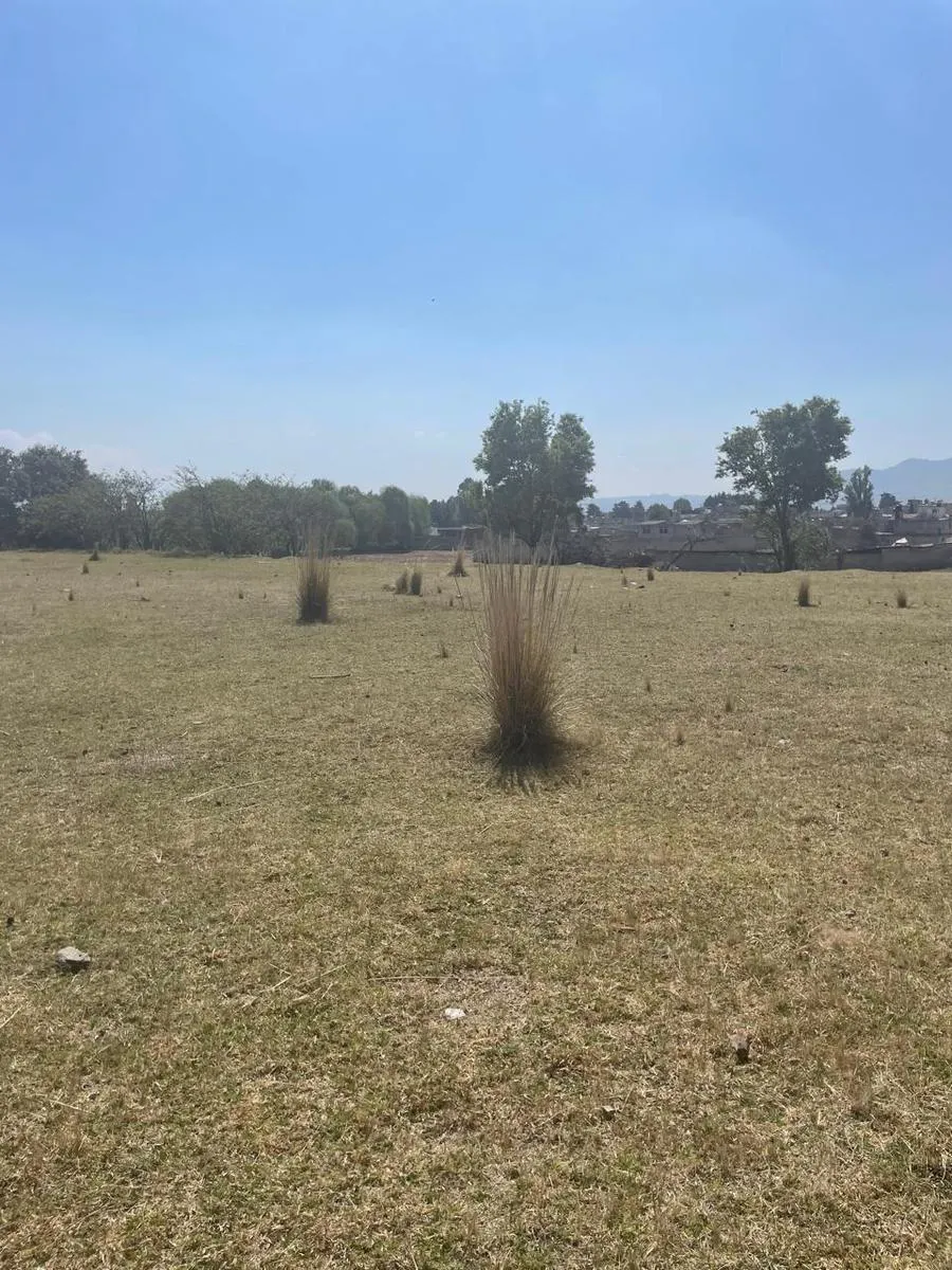 Terreno Spot2