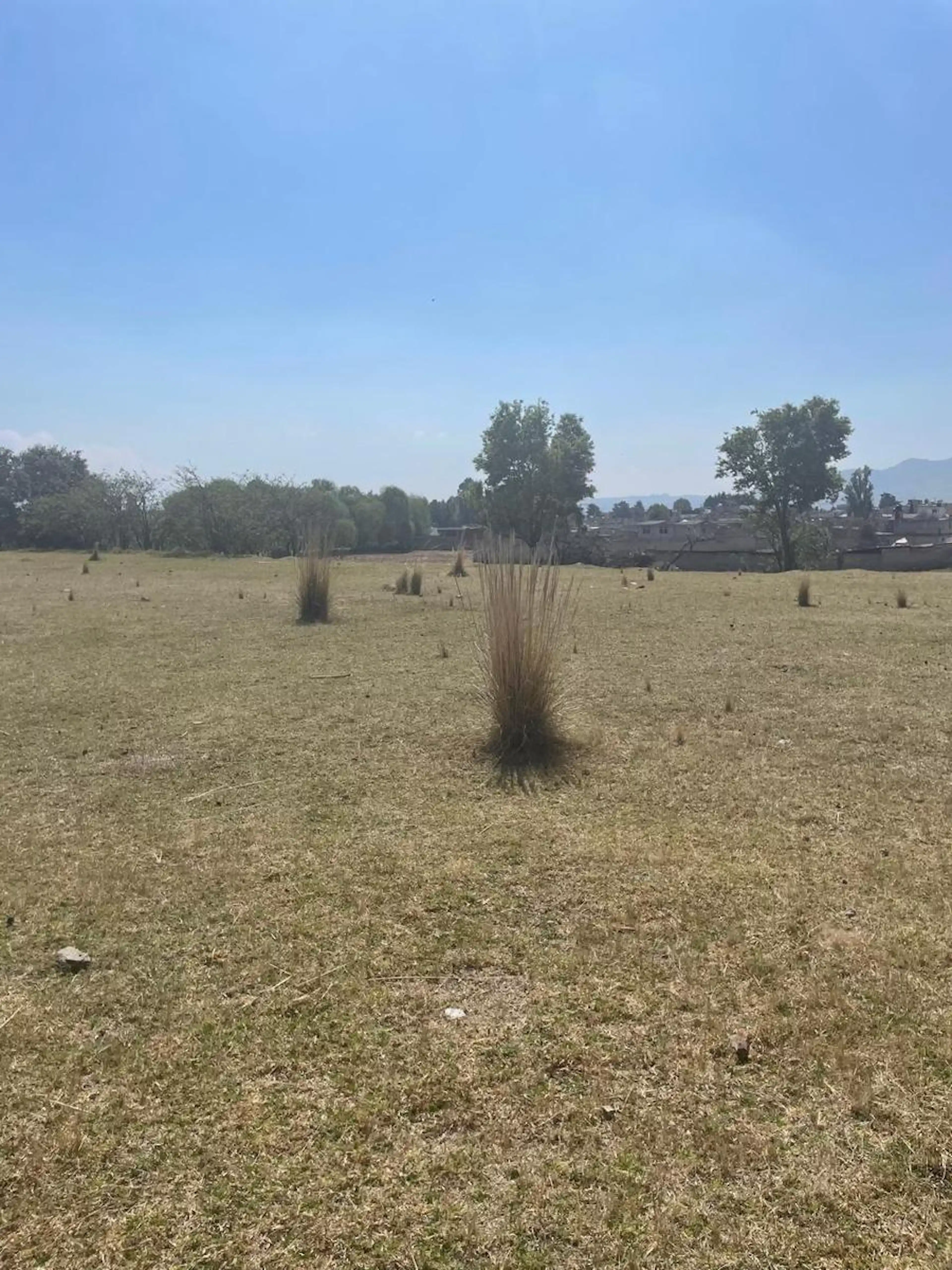 Terreno En La Agüita, La Ventanilla, San Antonio La Isla, Estado De México
