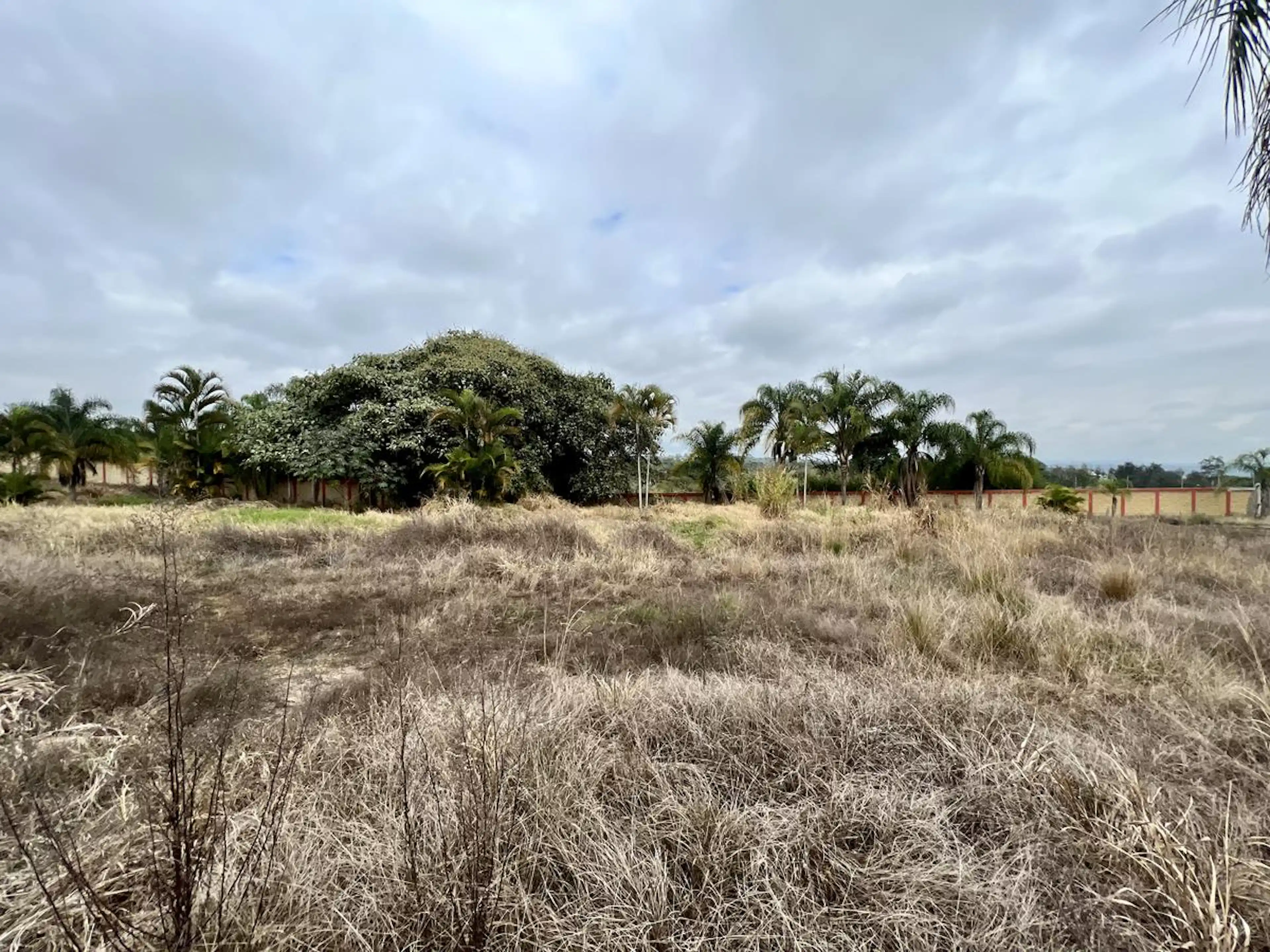 Terreno En Venta En Zona El Lencero Camino A El Chico Emiliano Zapata Ver.