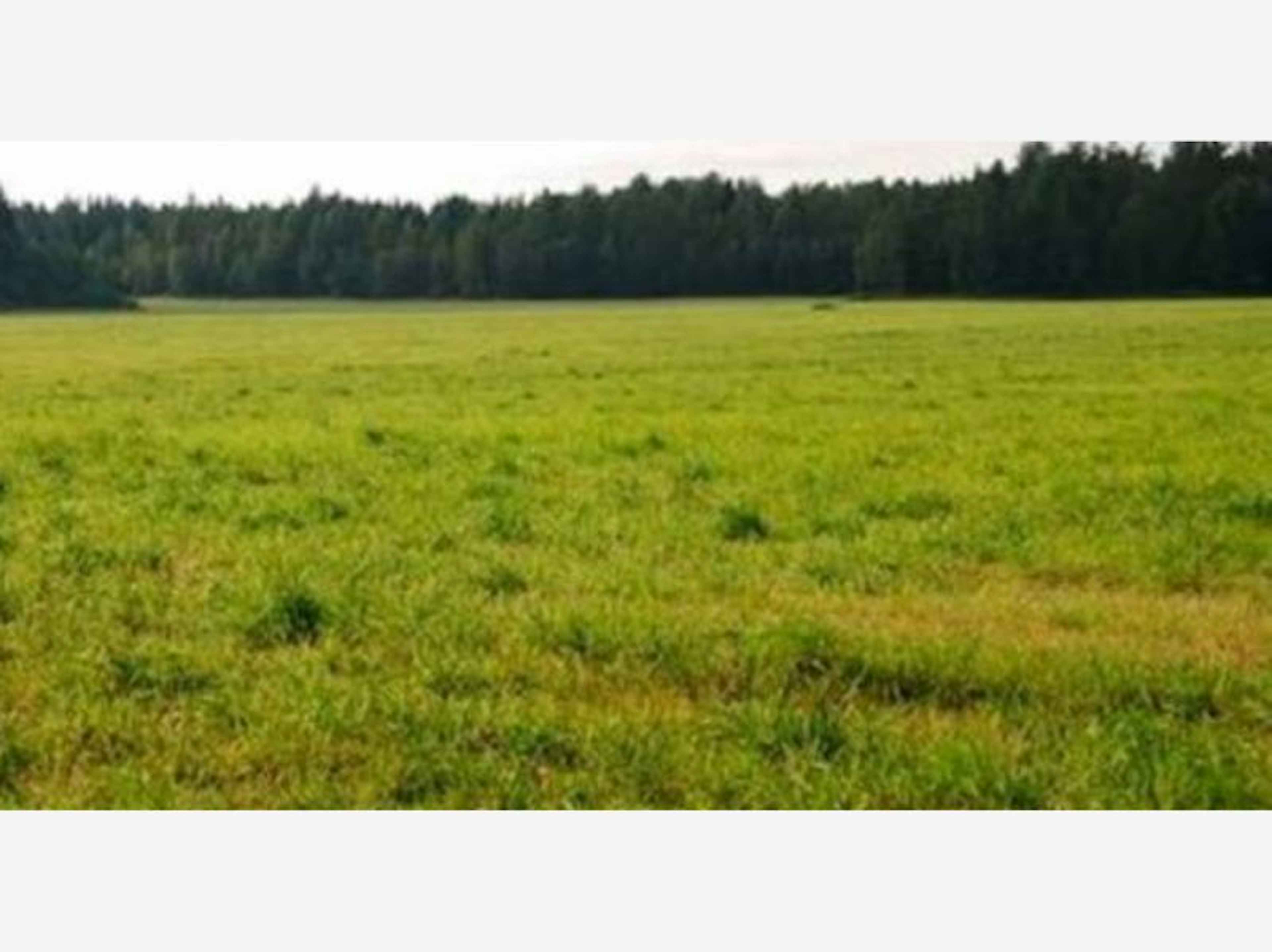 Terreno En Venta En Cofradía De Juárez, Armería, Colima