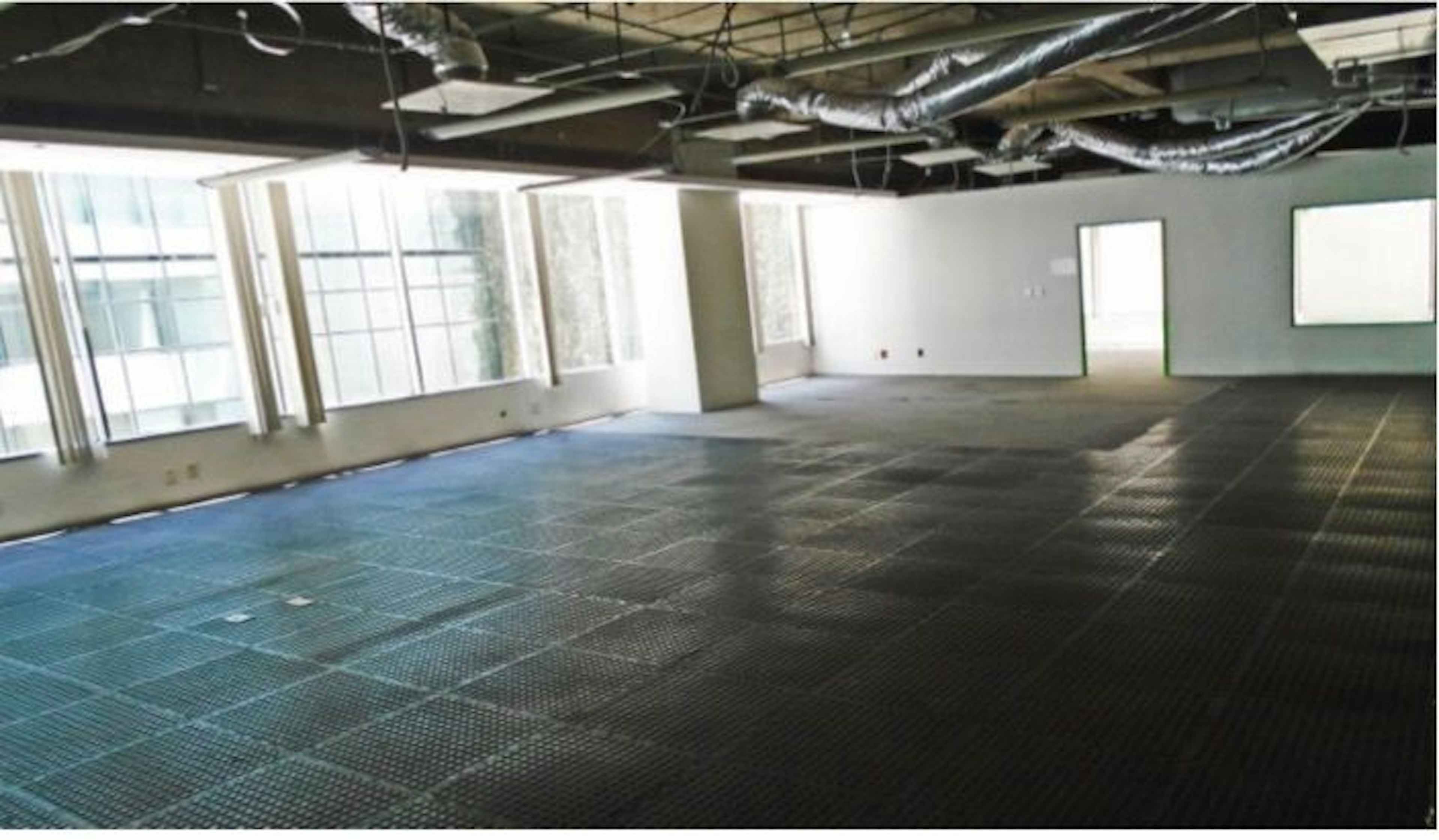 Bosque De Radiatas 10