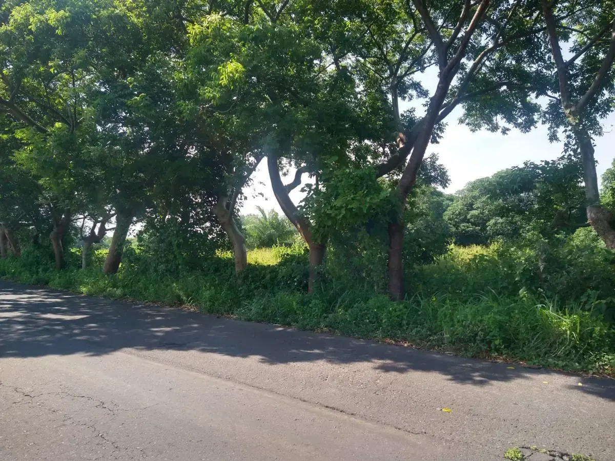 Terreno Spot2