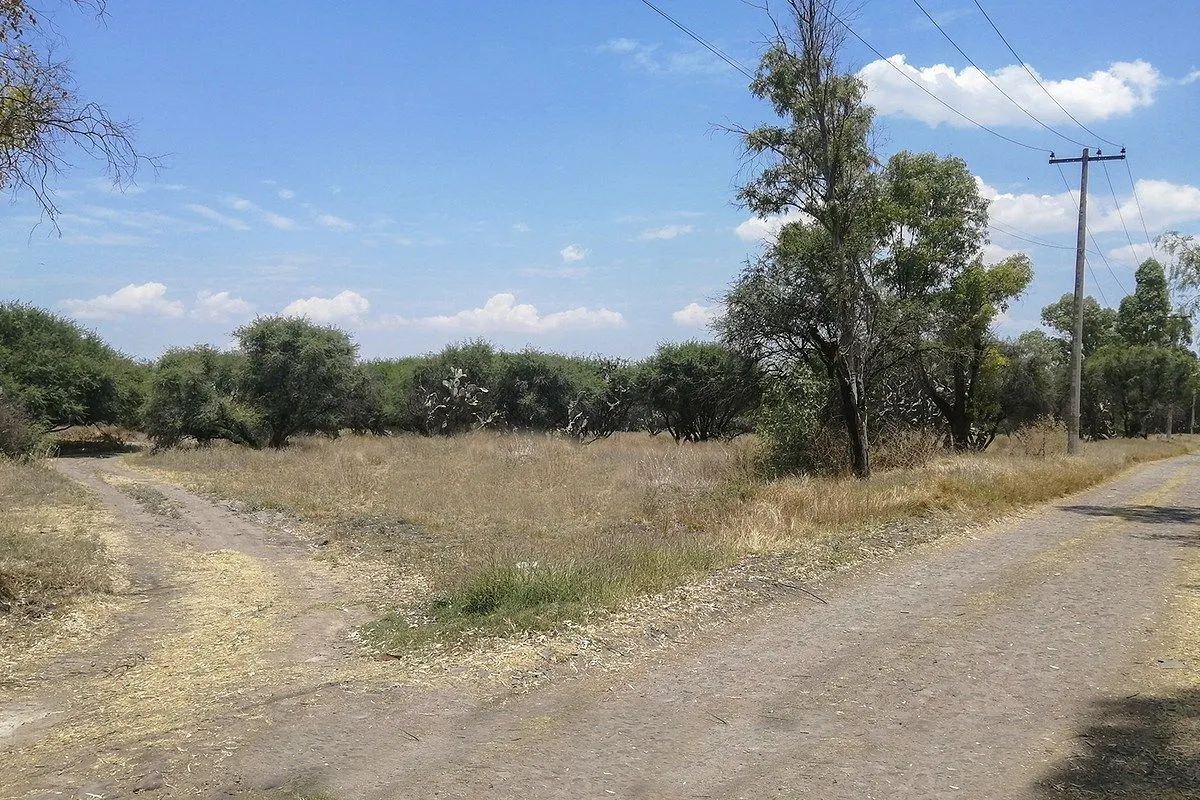 Terreno Spot2