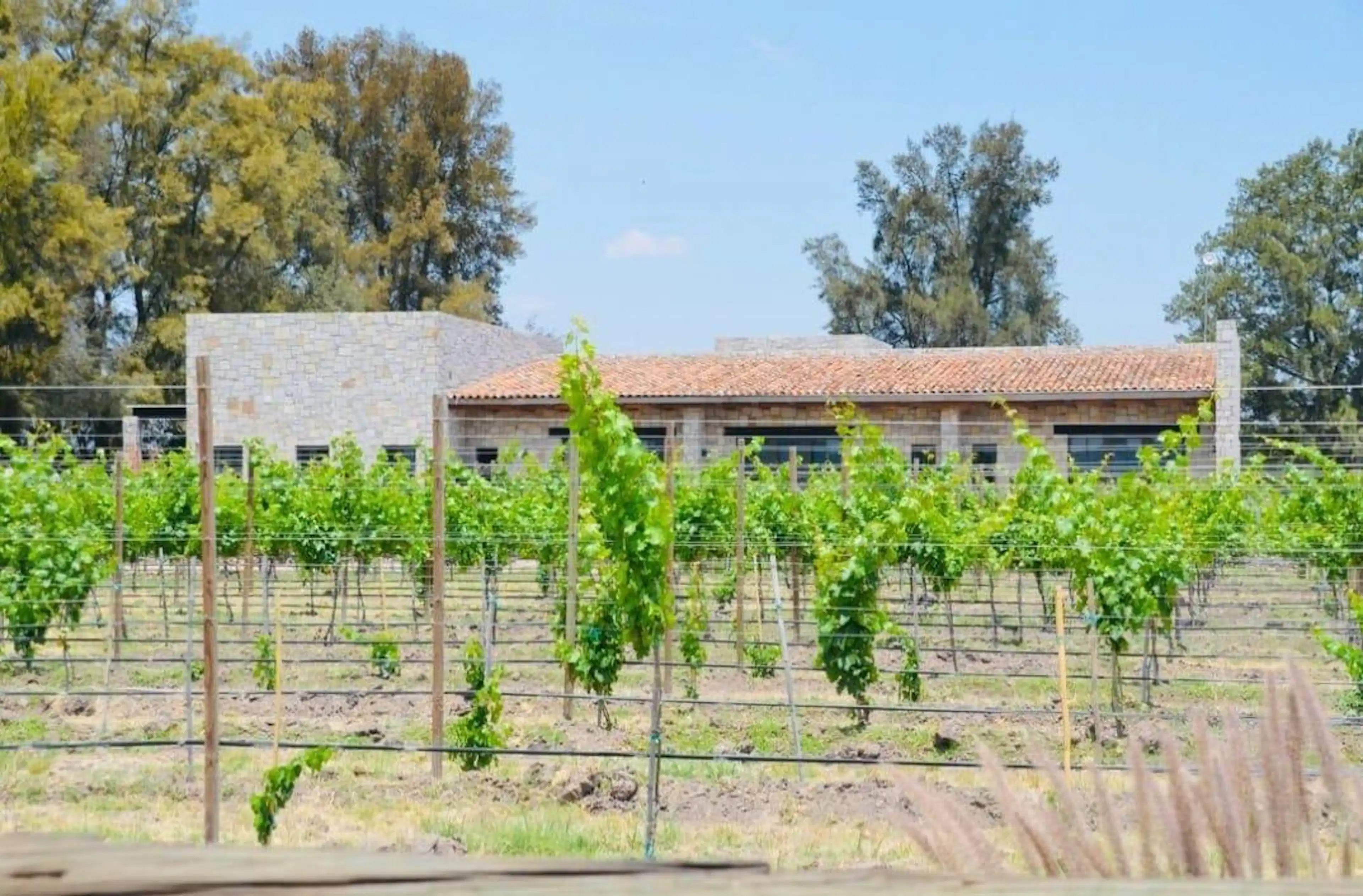 TERRENO EN VENTA en Viñedos San Francisco, San Miguel de Allende