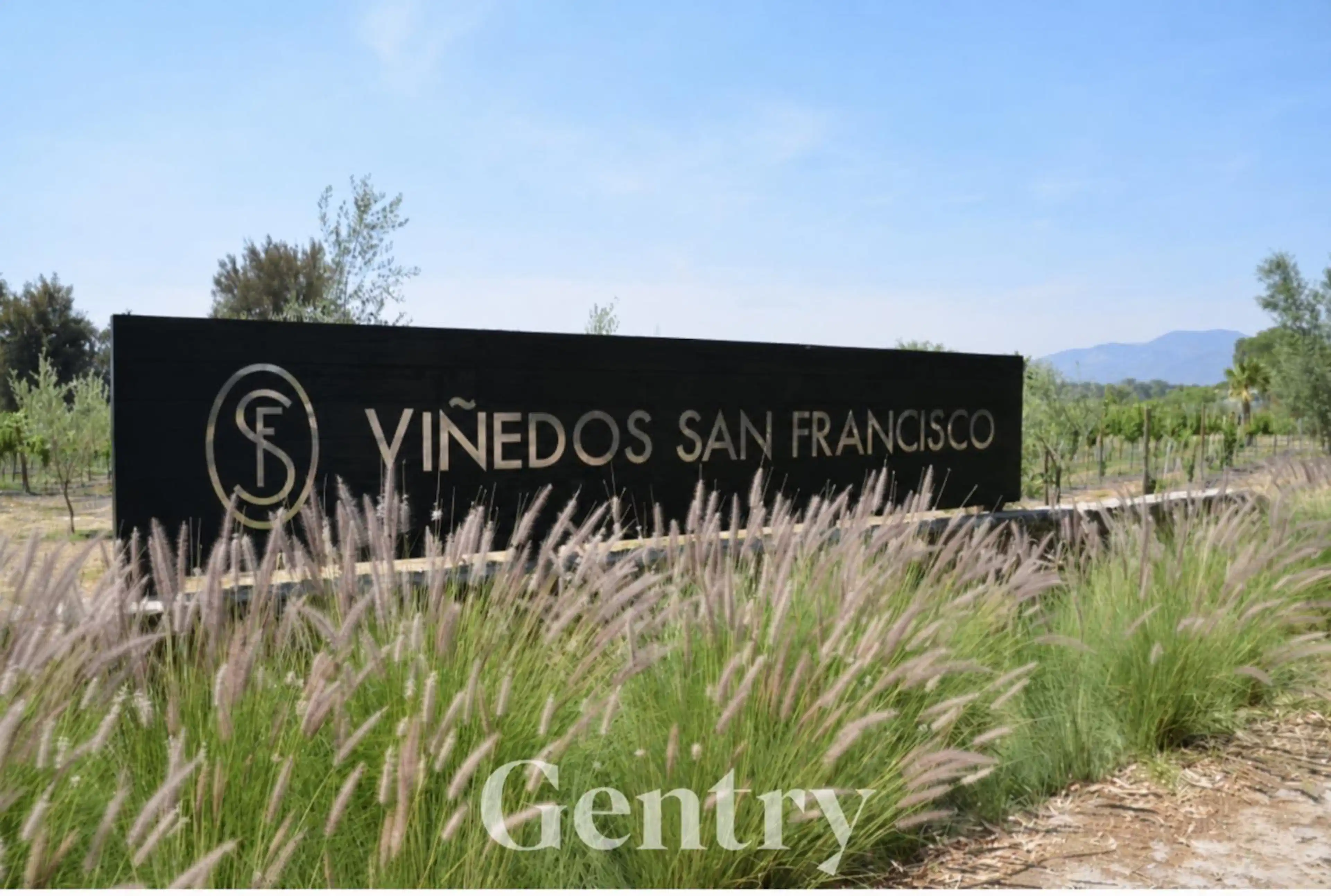 Terreno En Venta En Viñedos San Francisco