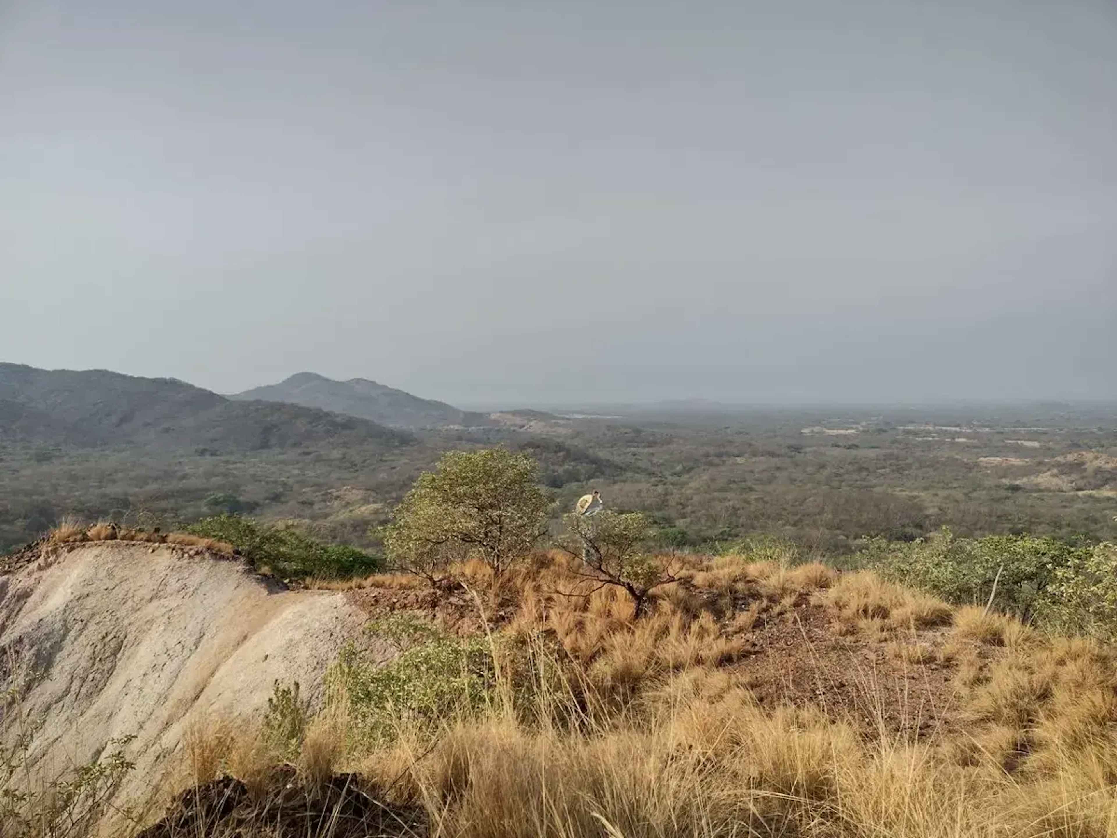 Terreno En Venta En Santo Domingo Zanatepec, Santo Domingo Zanatepec, Oaxaca