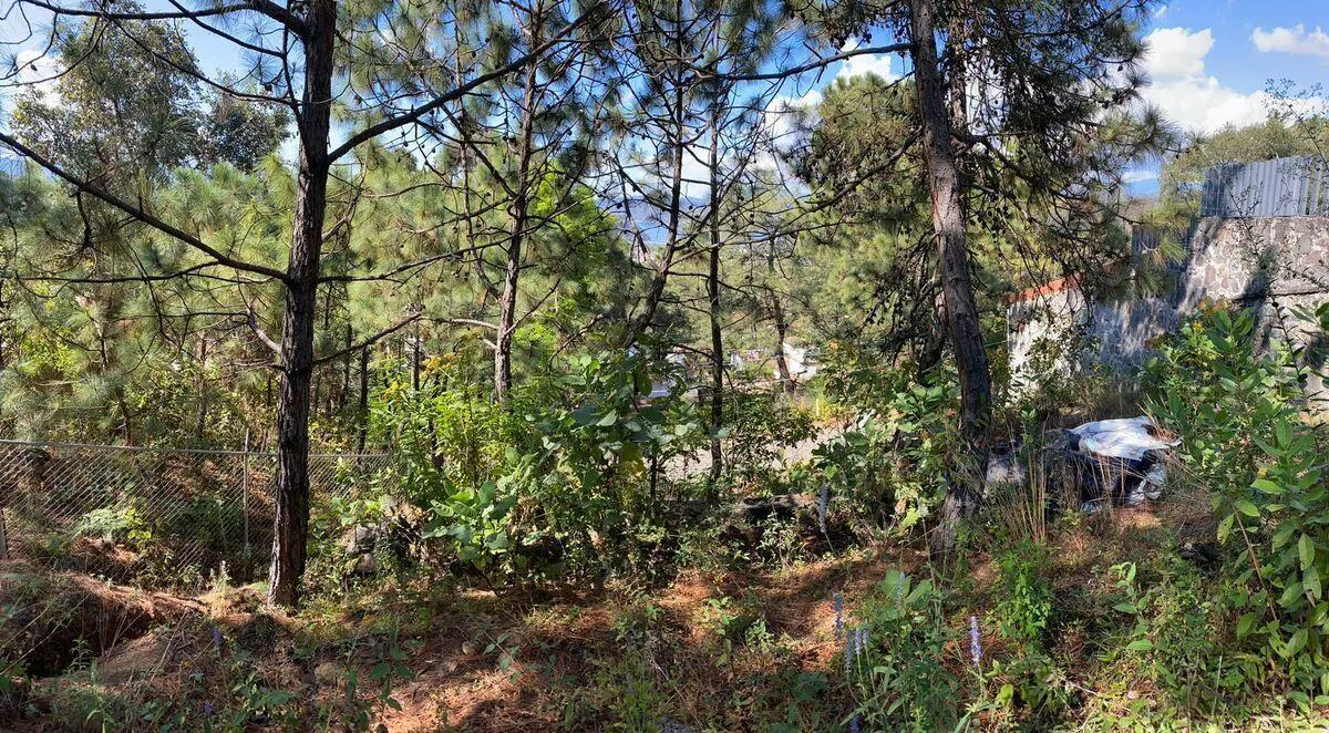Terreno Spot2