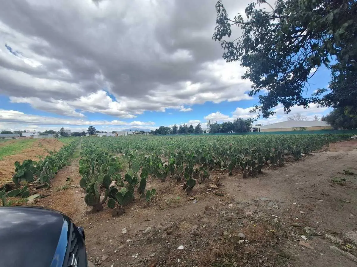 Terreno Spot2
