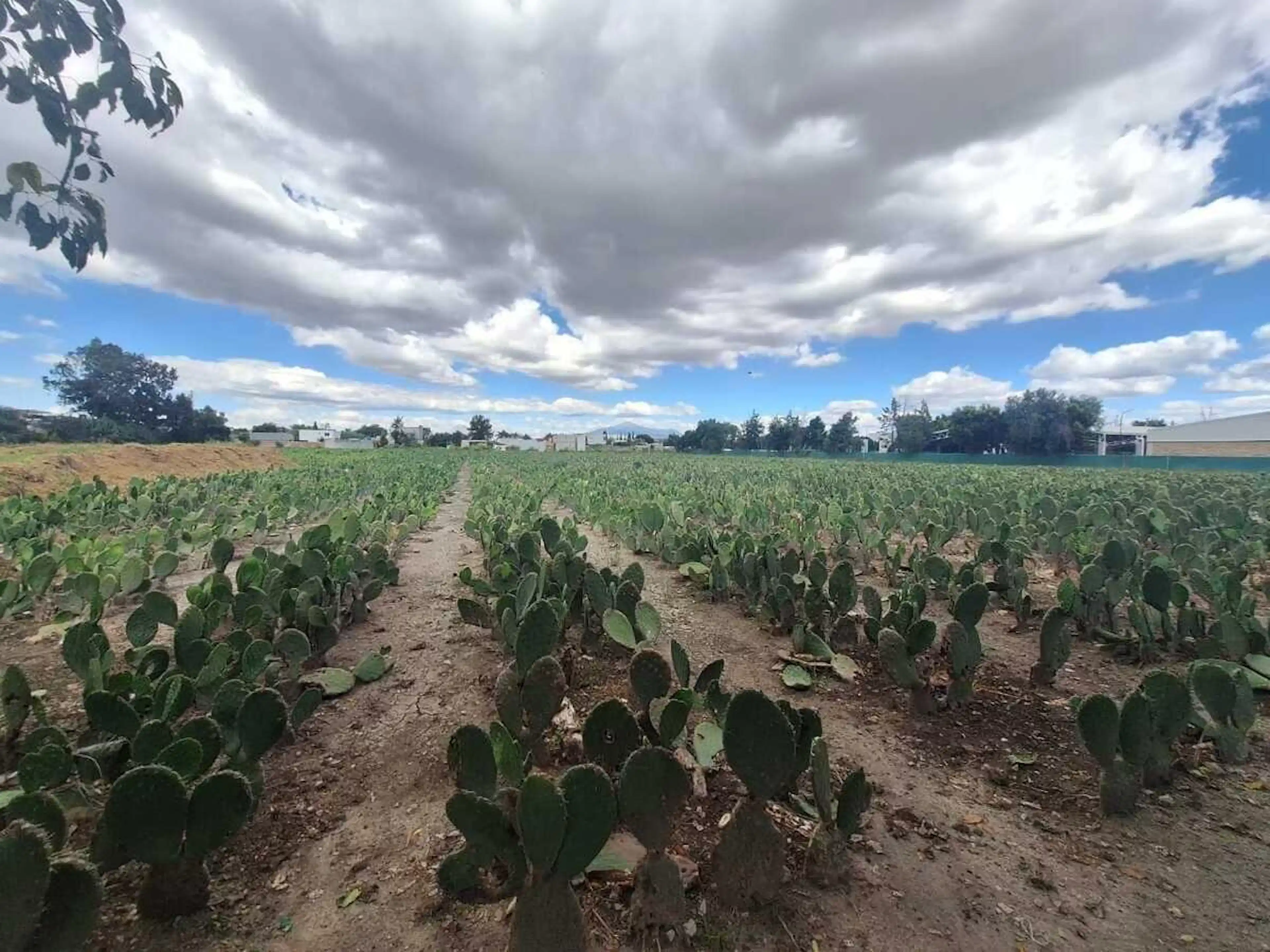 Terreno Plano De 11,750 M² Con Servicios, San Andrés Cholula