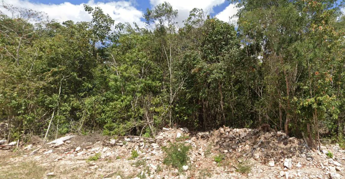 Terreno Spot2