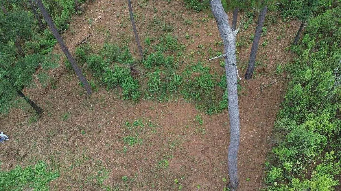 Terreno Spot2