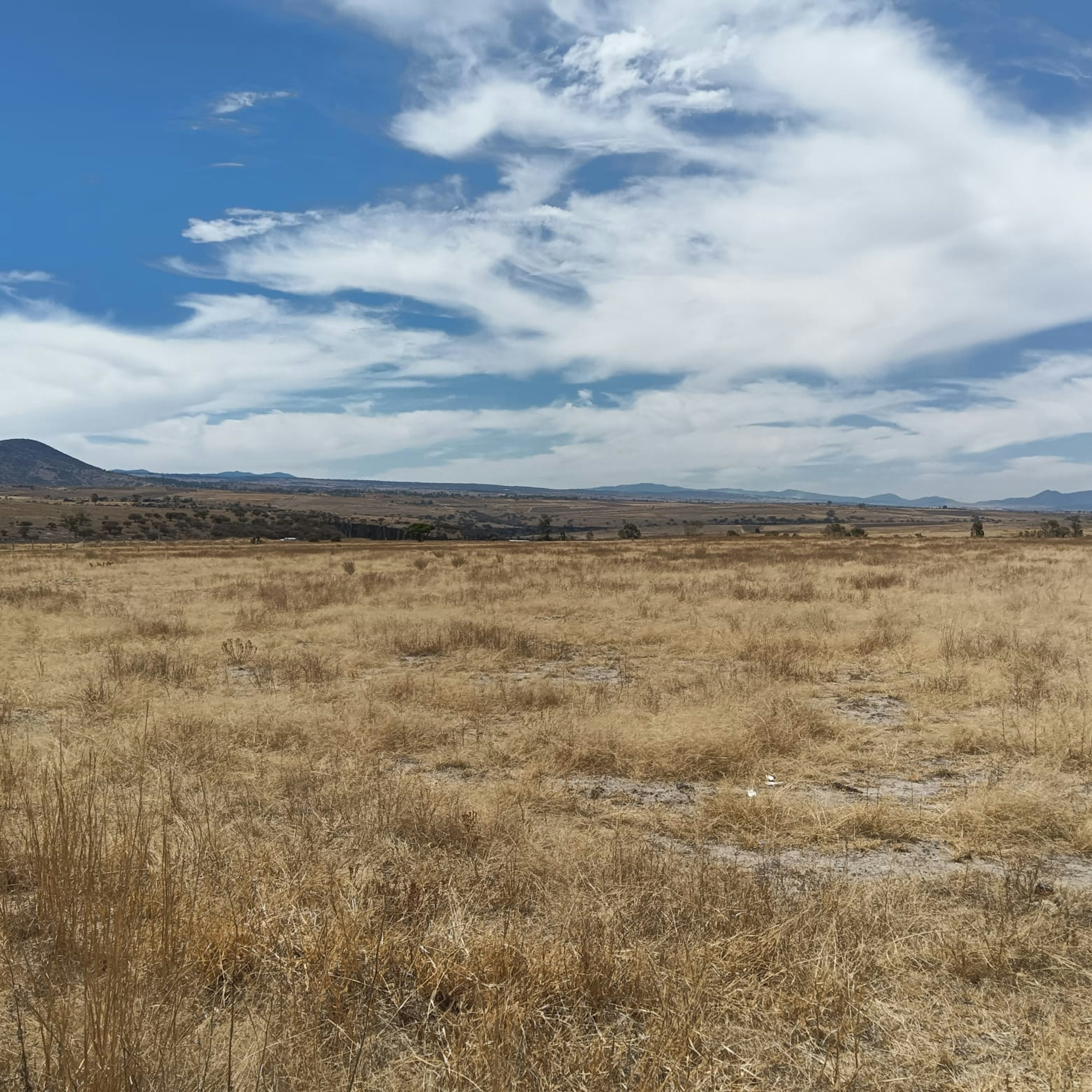 Esta imagen muestra un extenso paisaje árido y seco, típico de una zona rural o terreno sin desarrollar. El terreno es mayormente plano con montañas distantes en el horizonte. La vegetación es escasa, principalmente hierba seca y amarillenta. El cielo es amplio y azul con algunas nubes blancas. Este tipo de terreno podría ser considerado para desarrollo inmobiliario en áreas rurales o para proyectos agrícolas extensivos.