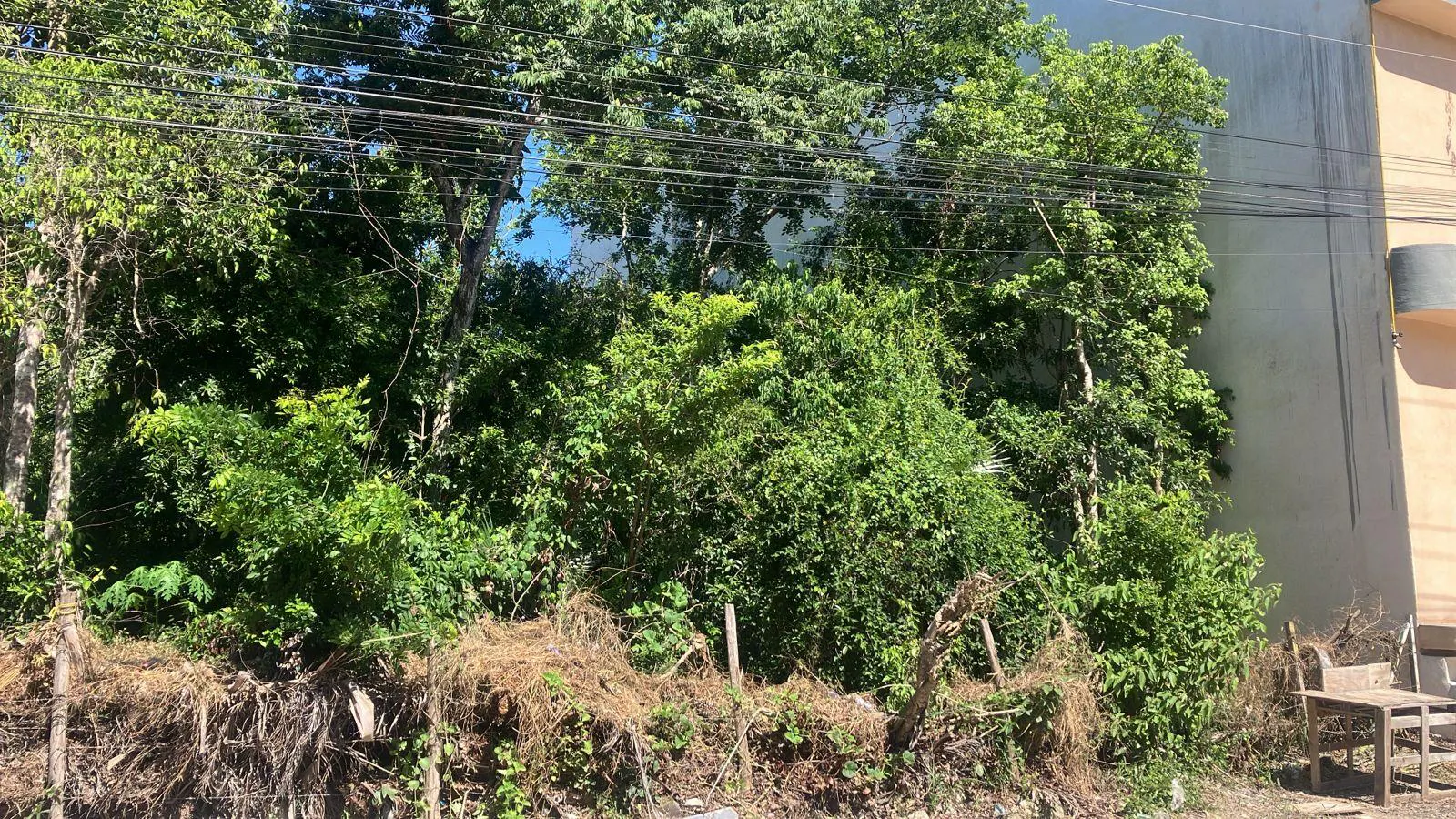 Terreno Spot2