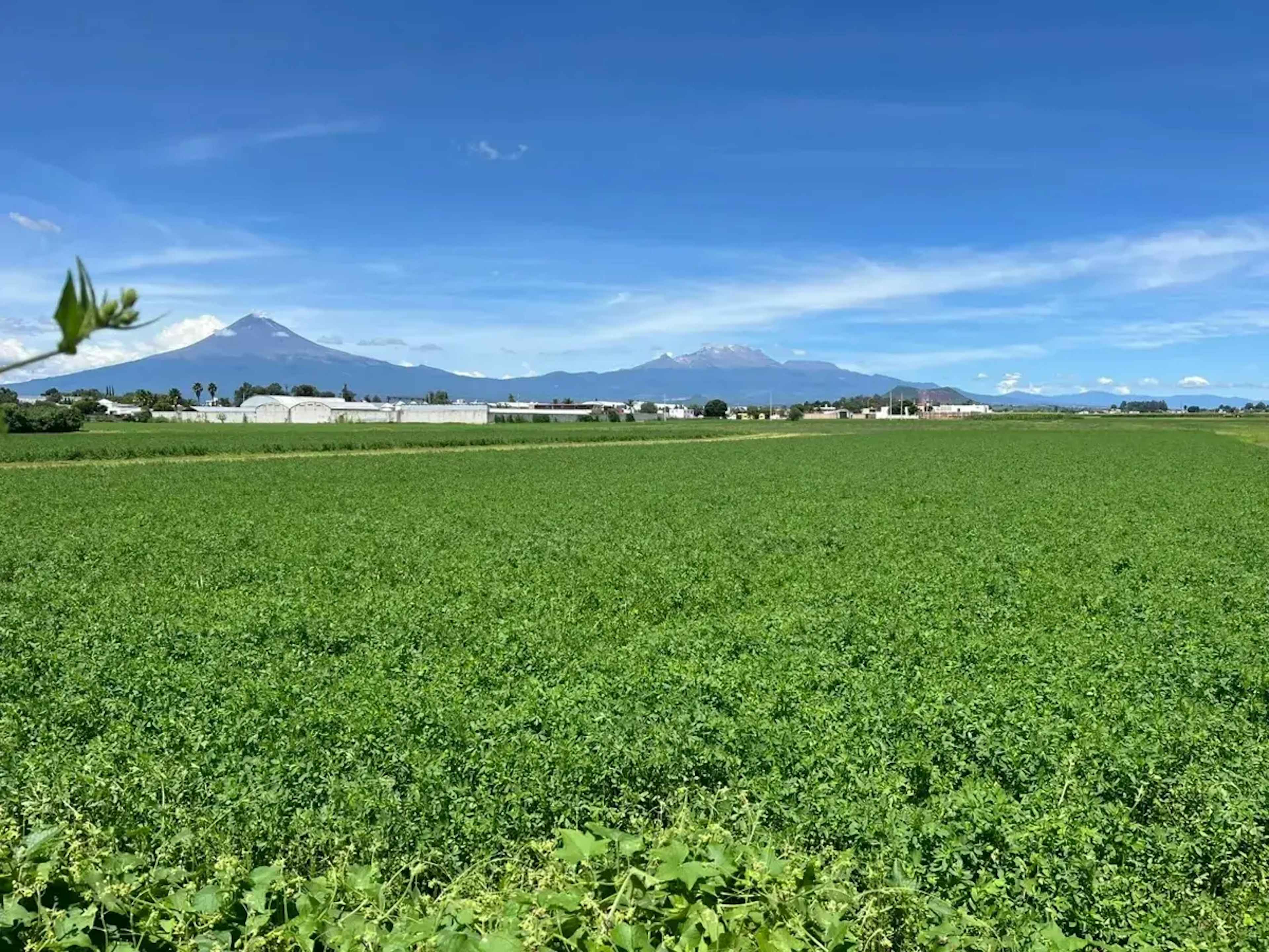 Terreno En Venta En Chipilo De Francisco Javier Mina, San Gregorio Atzompa, Puebla
