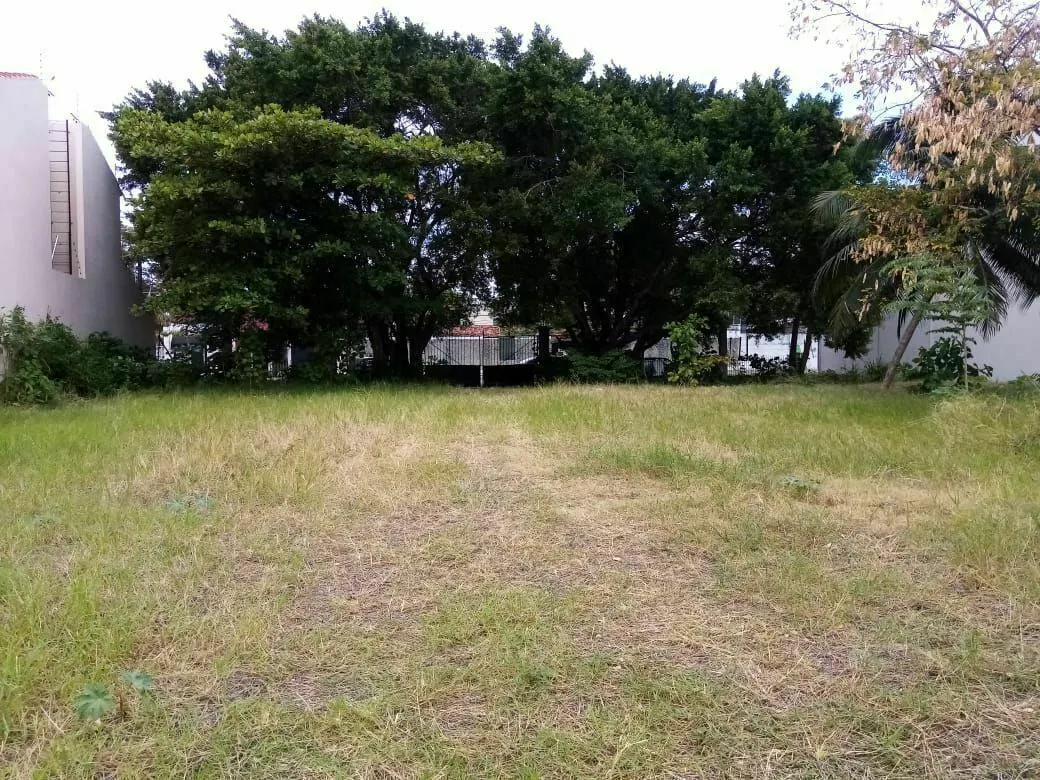 Terreno Spot2