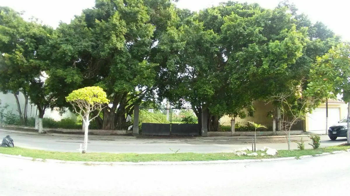Terreno Spot2