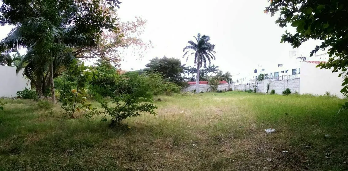 Terreno Spot2