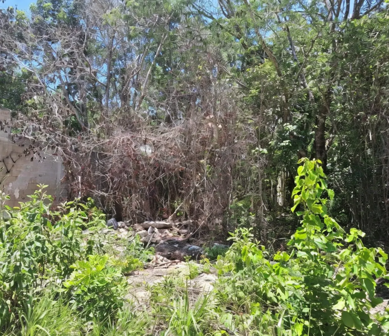 Terreno Spot2