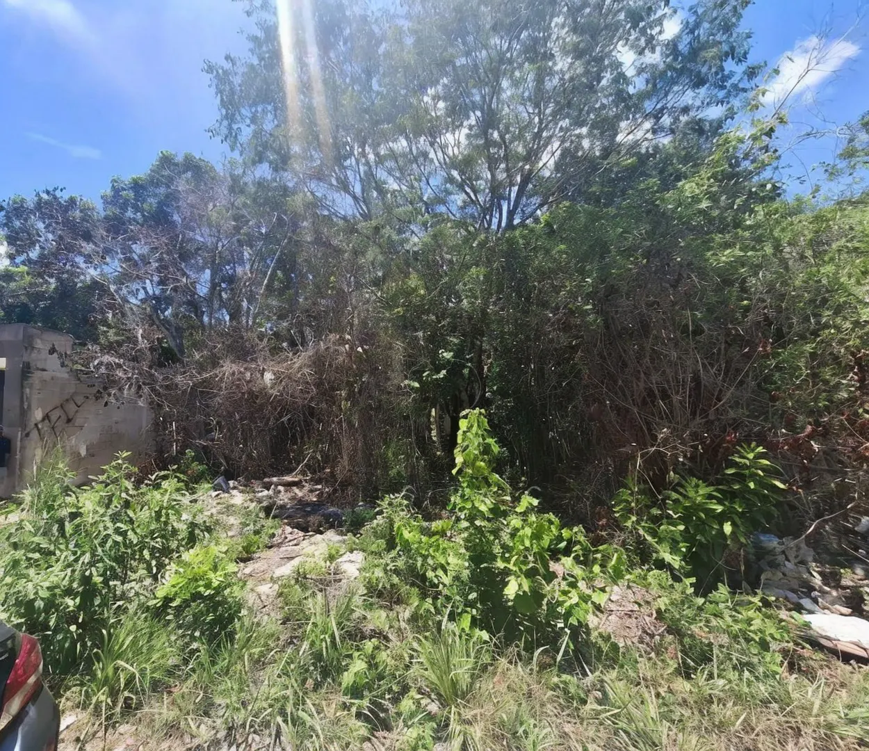 Terreno Spot2