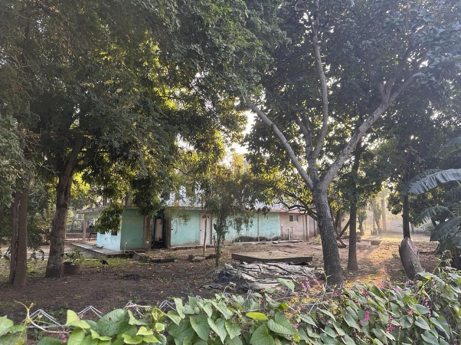 Terreno Spot2