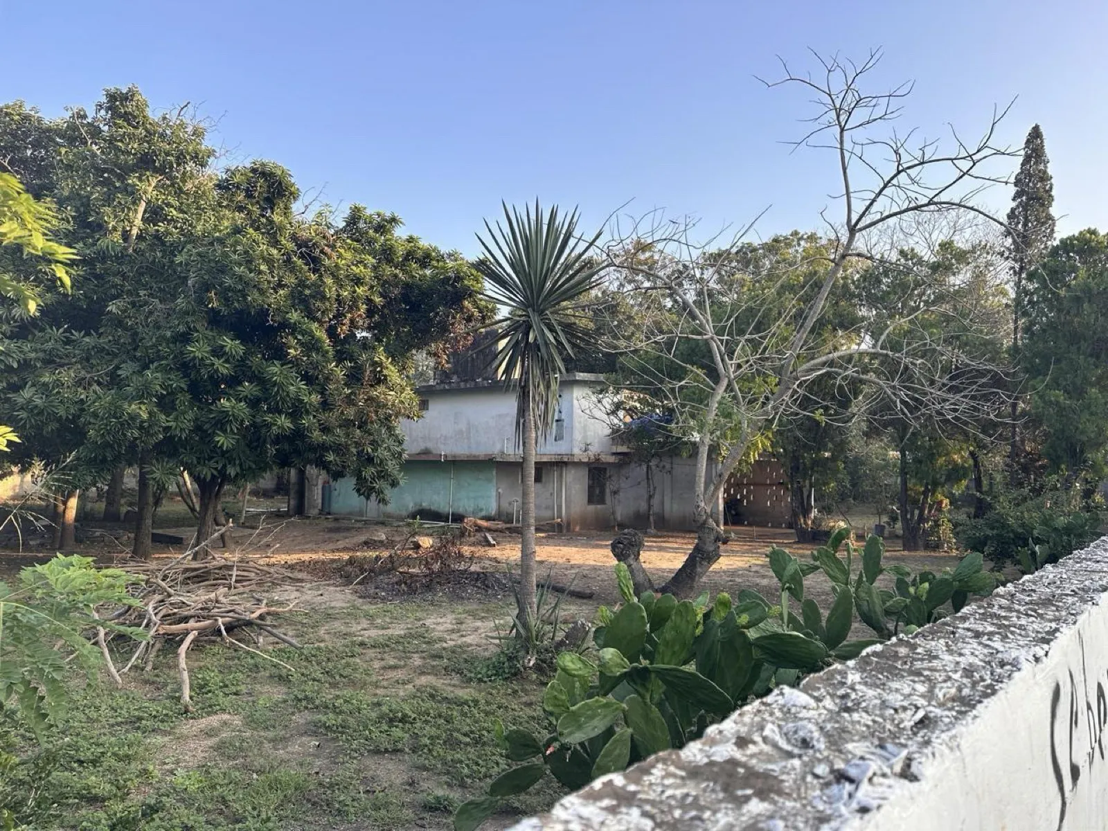 Terreno Spot2
