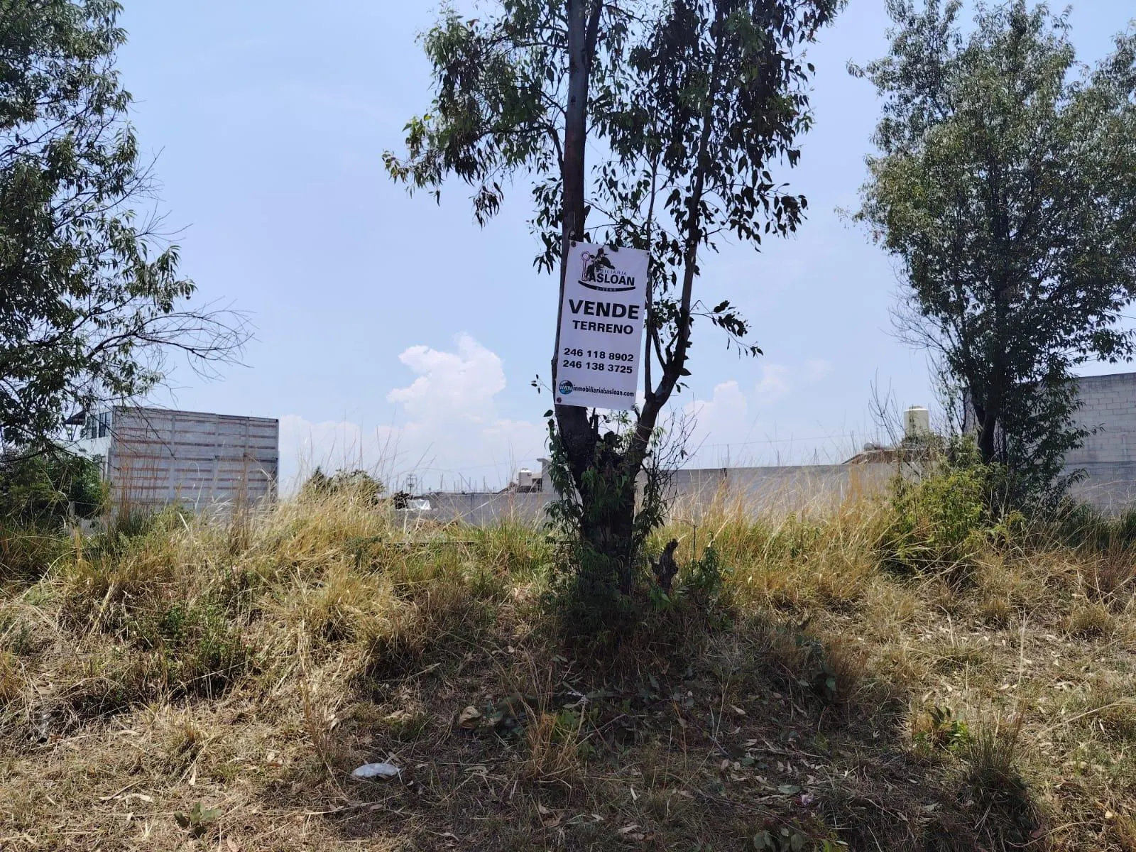 Terreno Spot2