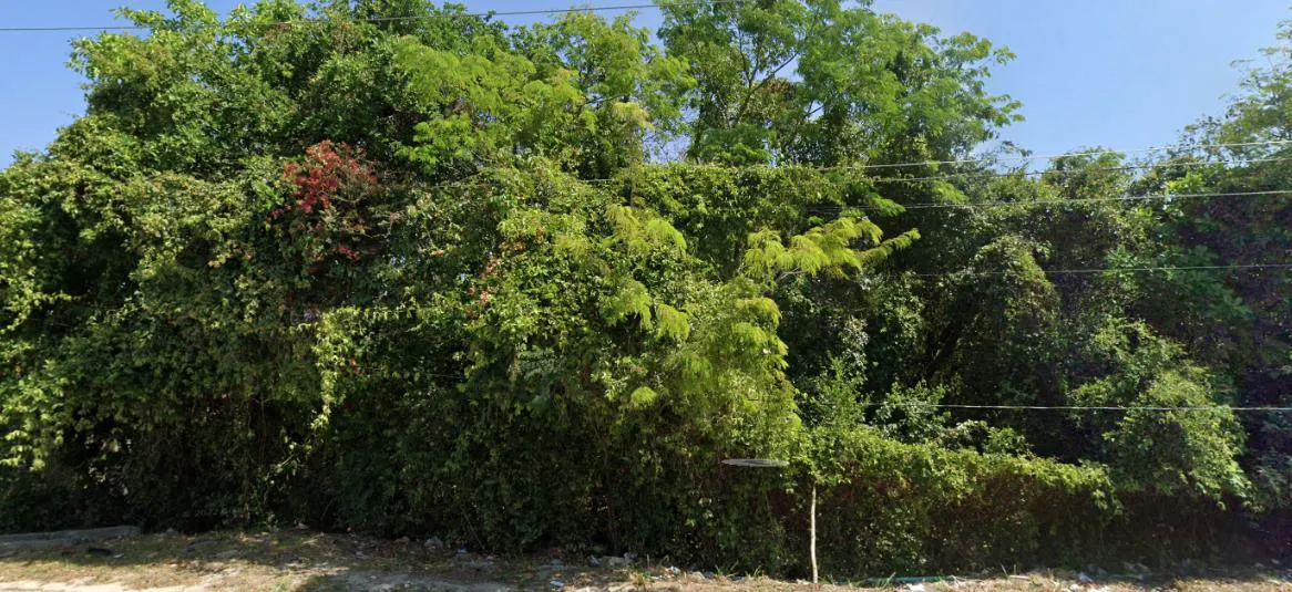 Terreno Spot2