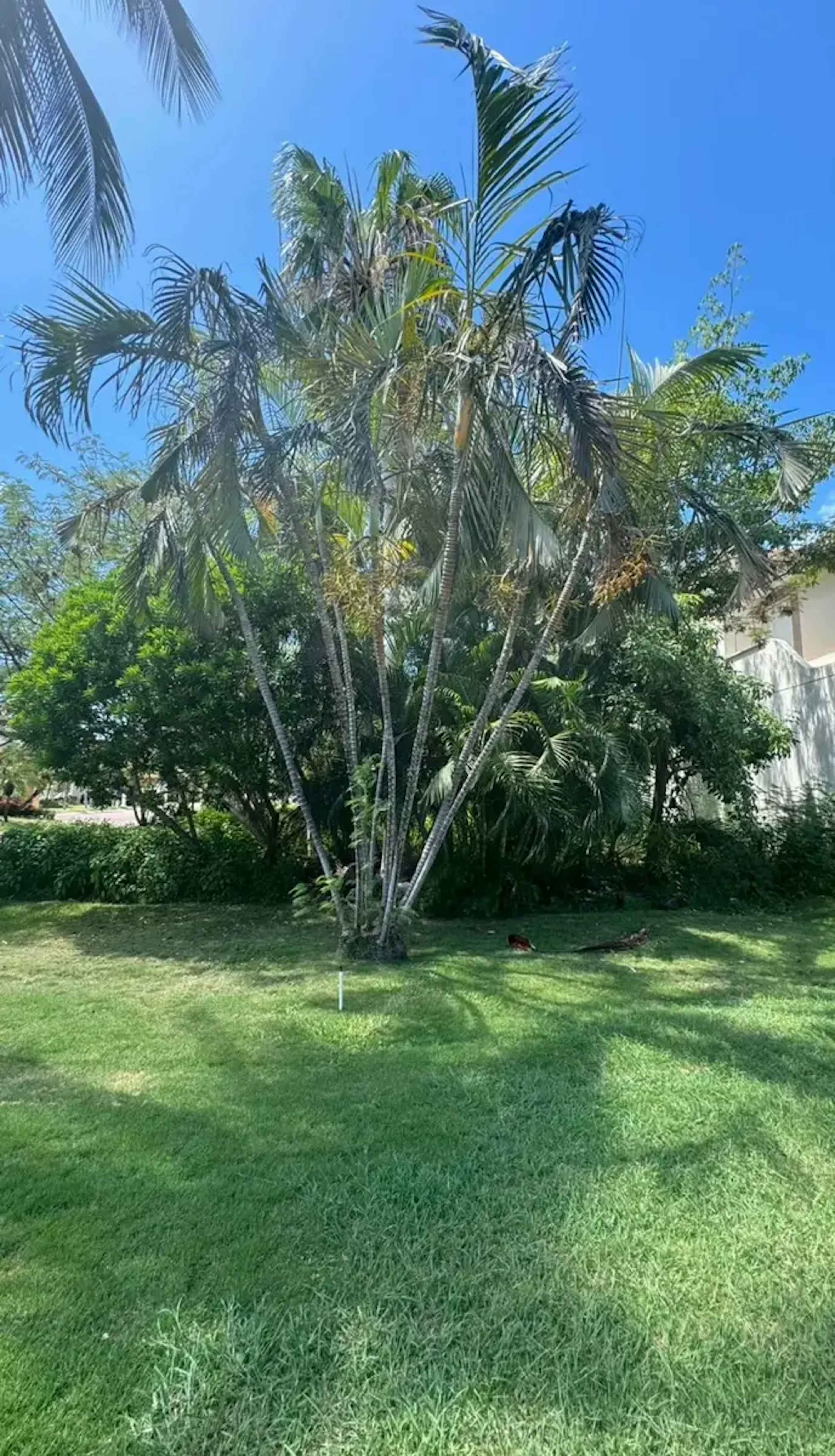 Terreno En Venta En Zona Hotelera, Benito Juárez, Quintana Roo