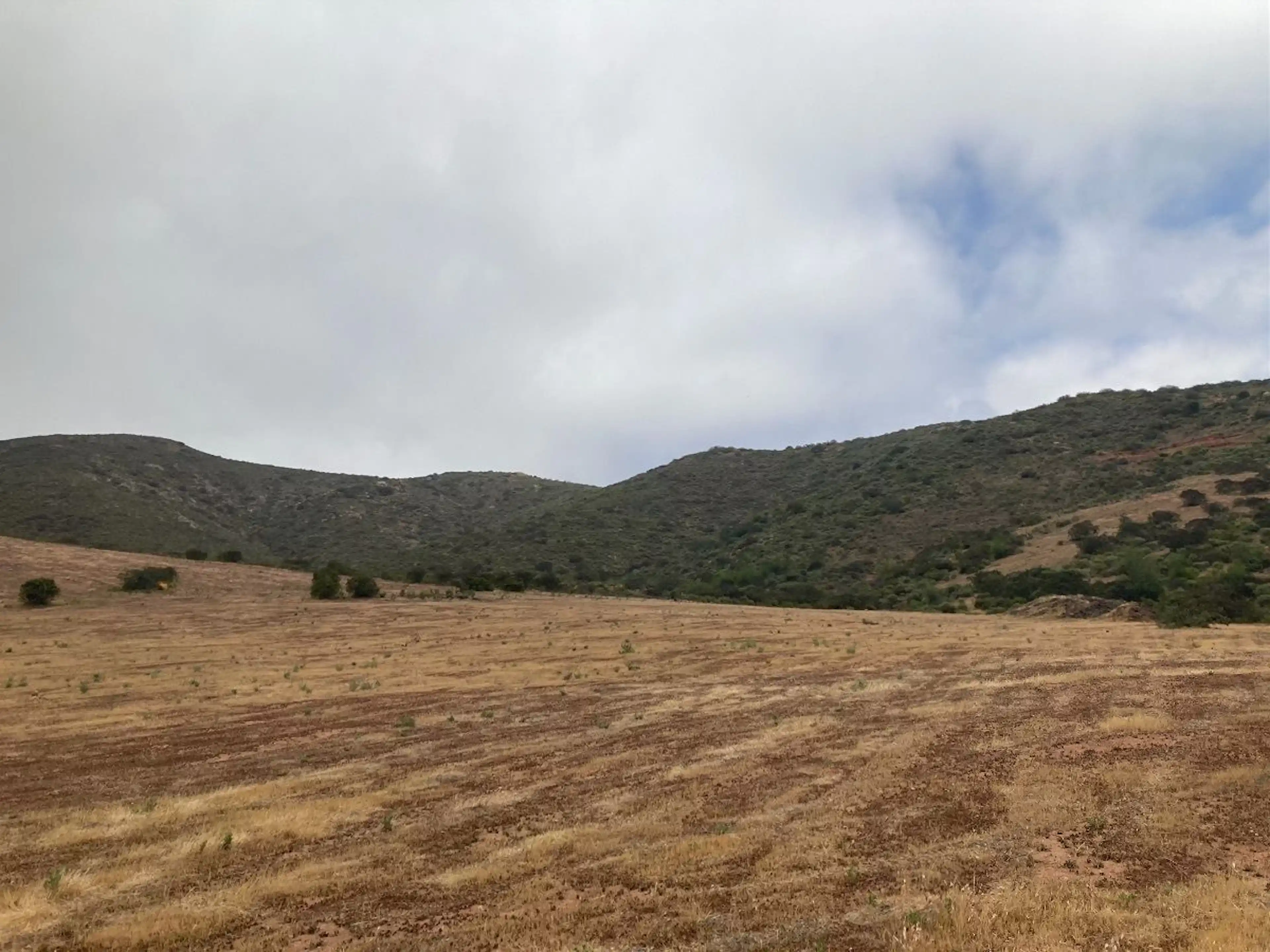 Terreno en Valle de Guadalupe justo atras de Casa Frida