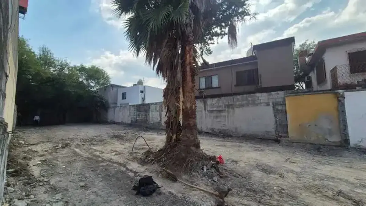Terreno Spot2