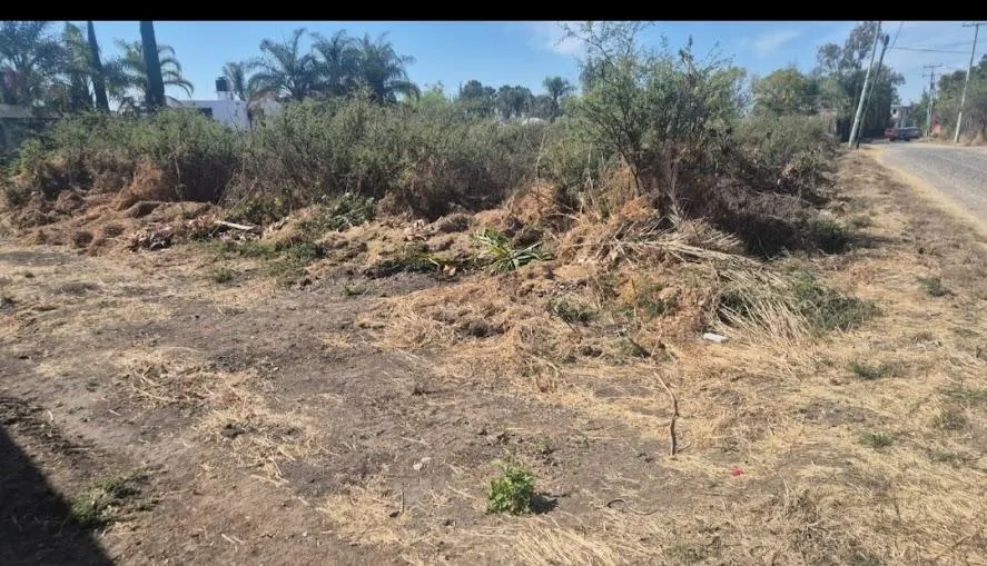 Terreno Spot2