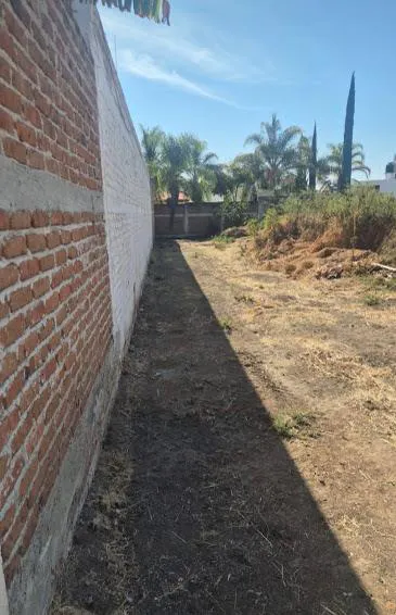 Terreno Spot2