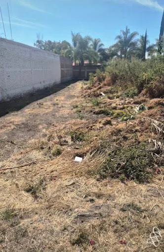 Terreno Spot2
