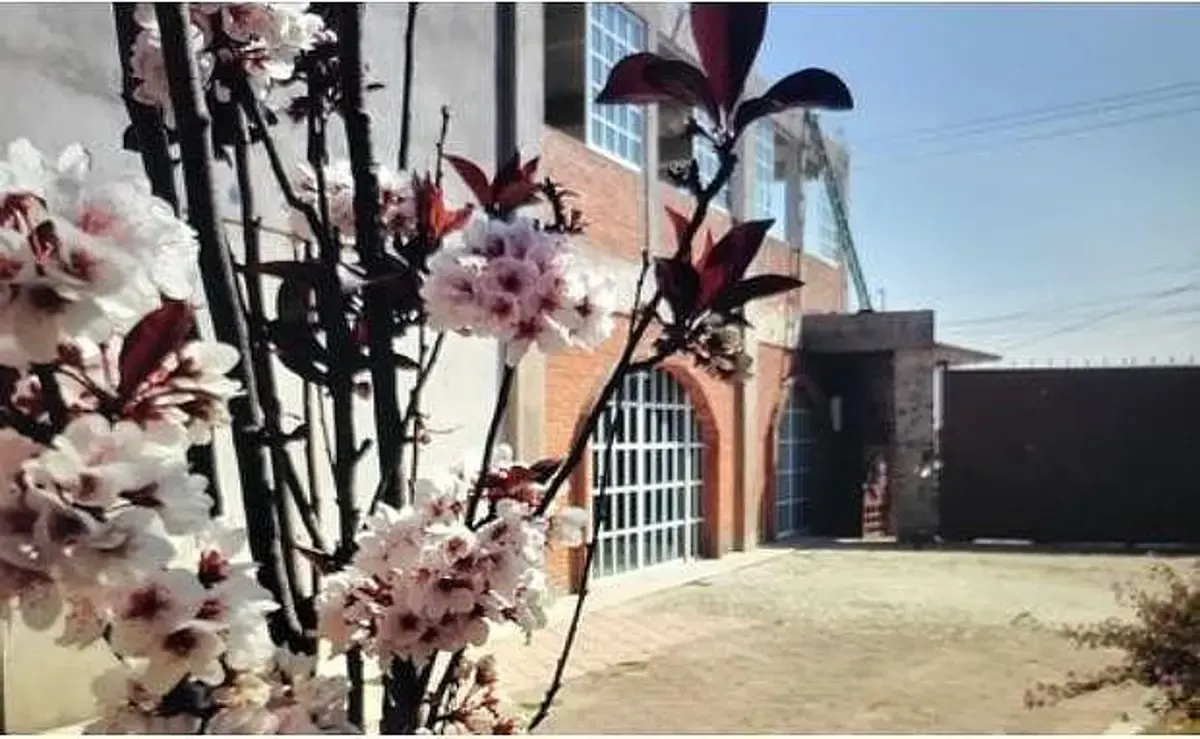 Industrial Spot2