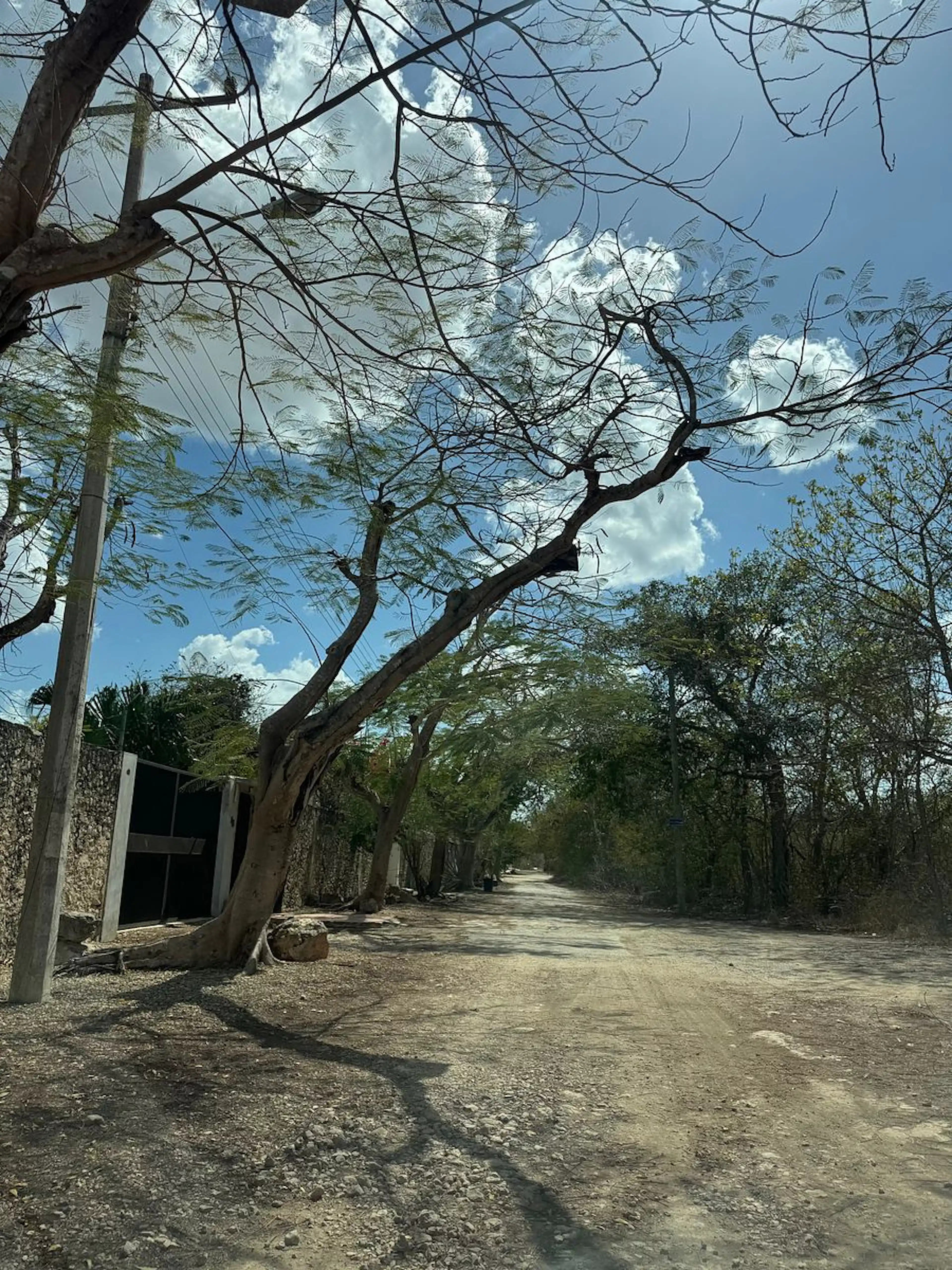 Venta De Terreno De 750 M2 En Cholul