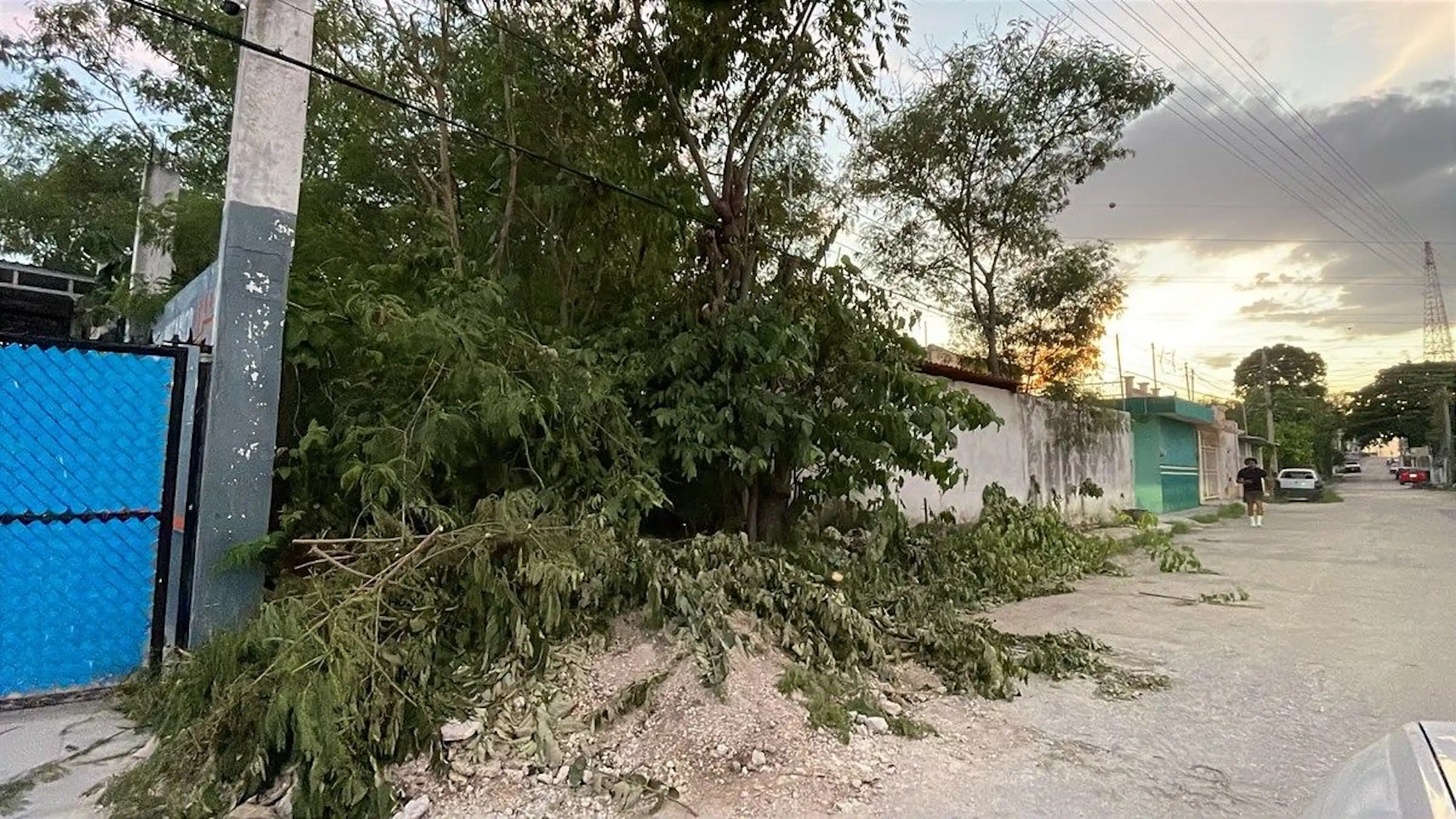TERRENO EN VENTA EN CAMPECHE COL IGNACIO ZARAGOZA