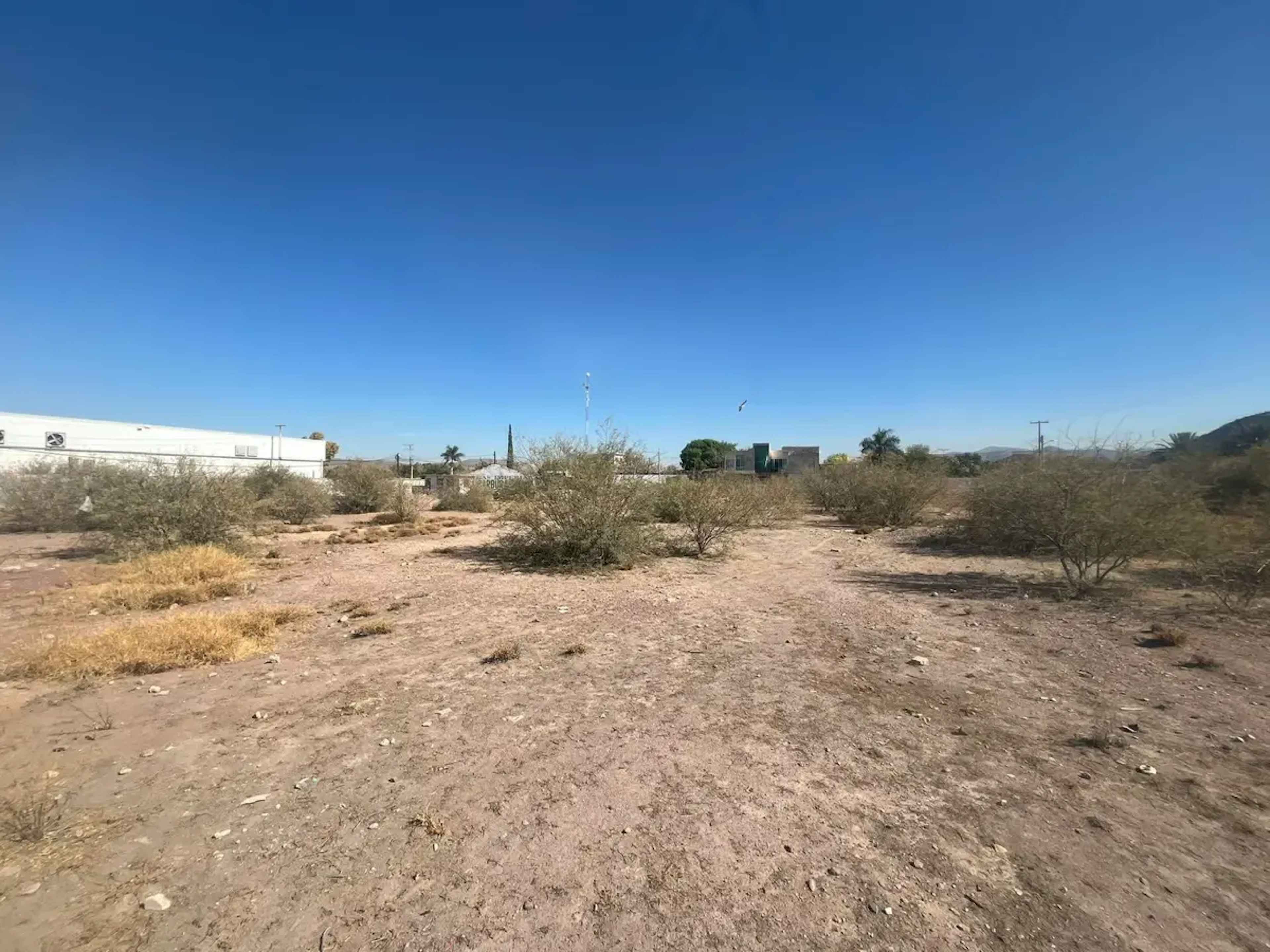 Terreno En Venta En Ciudad Juárez, Lerdo, Durango