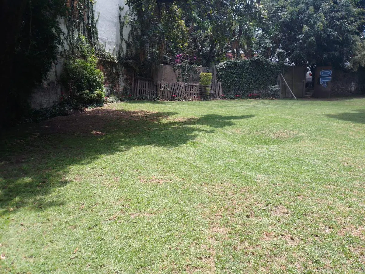 Terreno Spot2