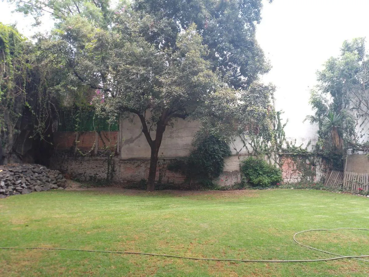 Terreno Spot2