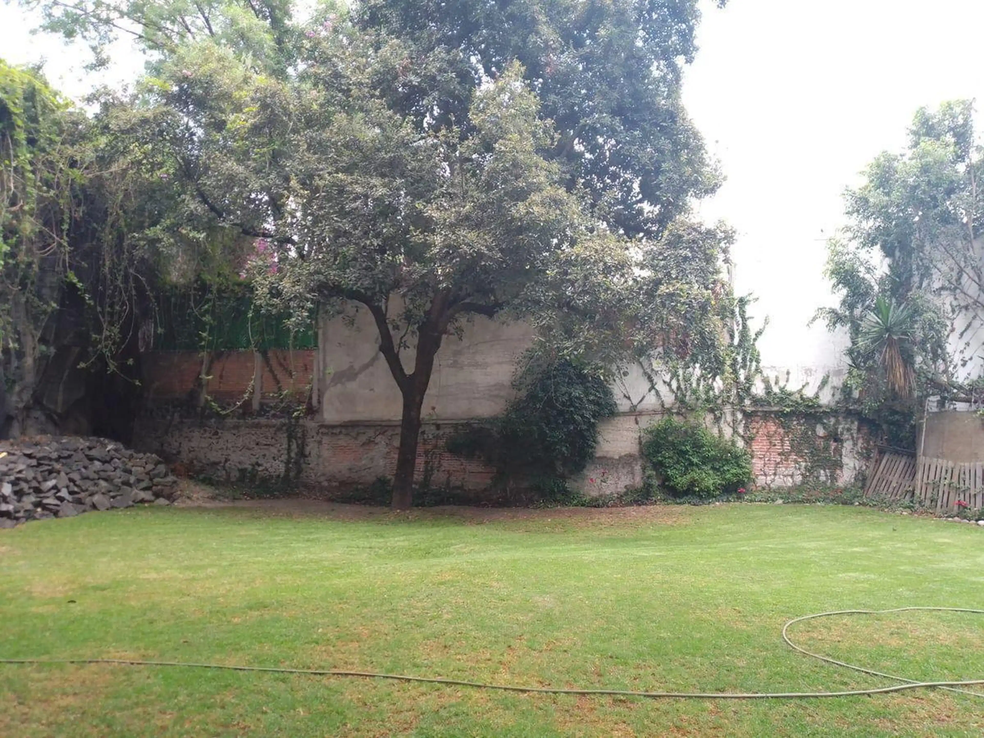 Terreno En Venta En Arras, Santa Catarina, Coyoacán